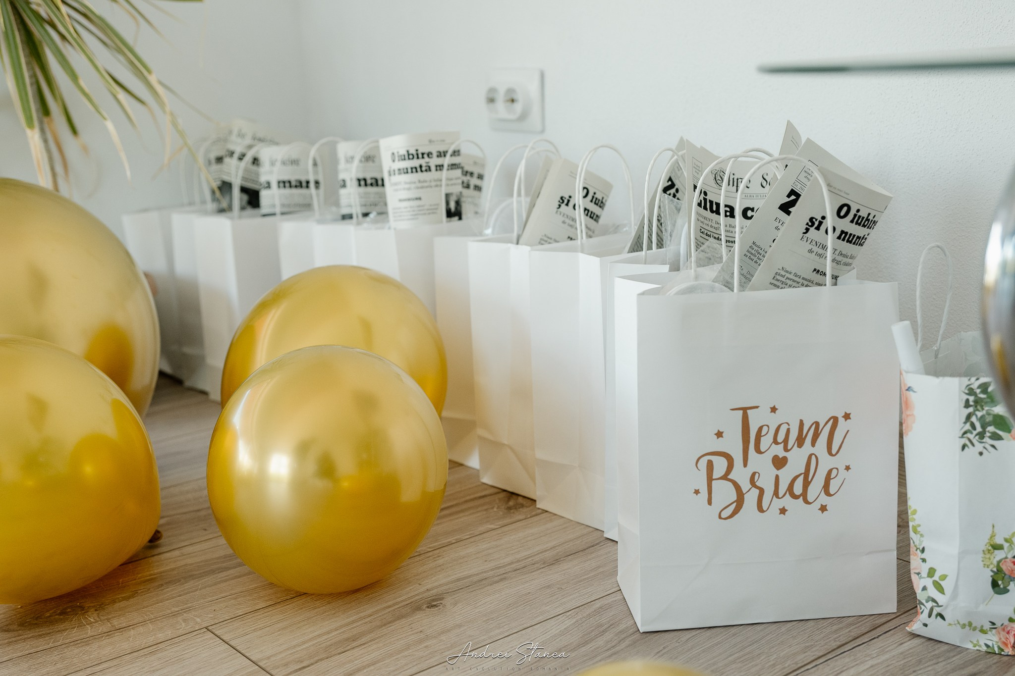 Denisa & Iulian. Andrei Stanea