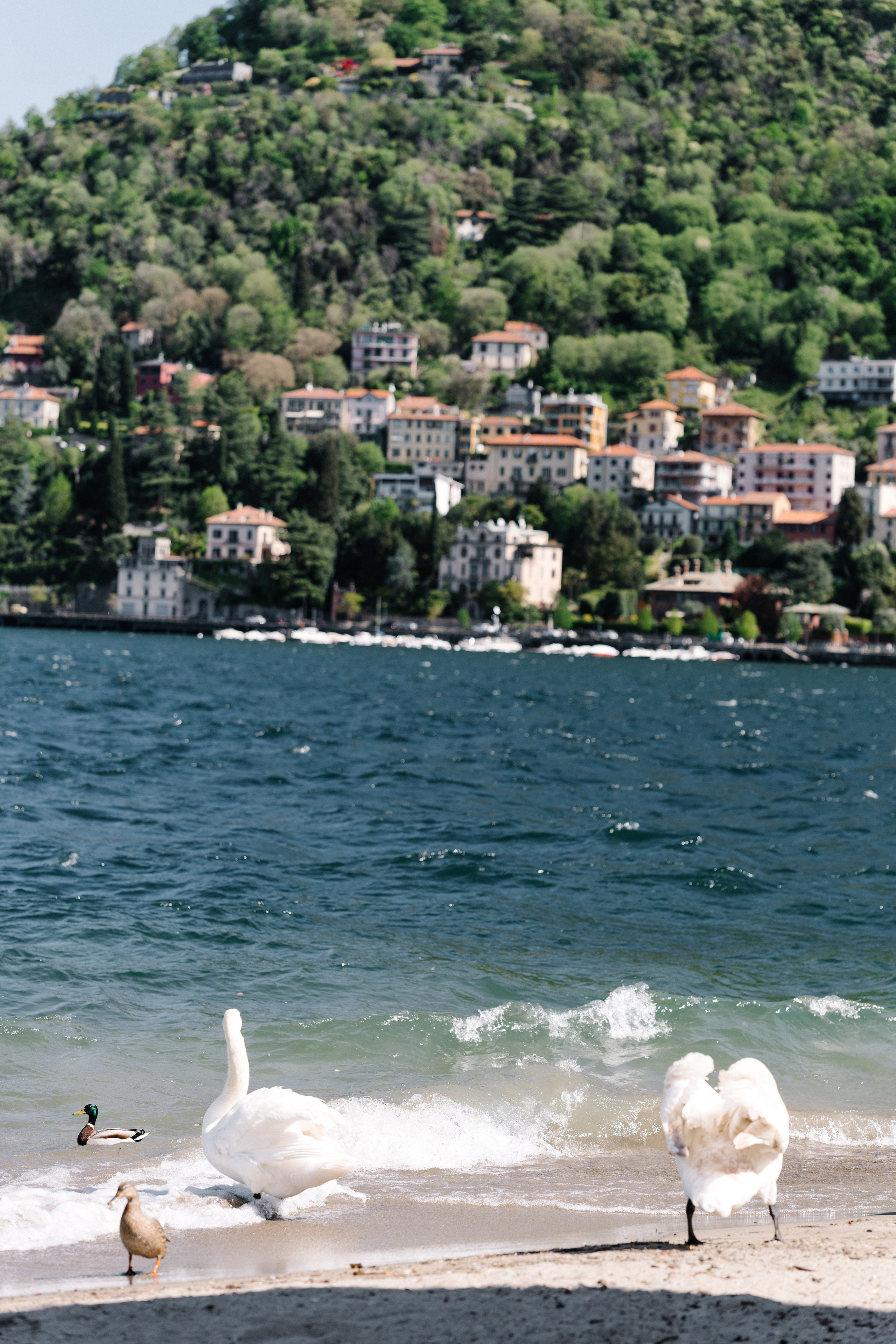 Pre-wedding. Свадебный фотограф Виктория Саврук