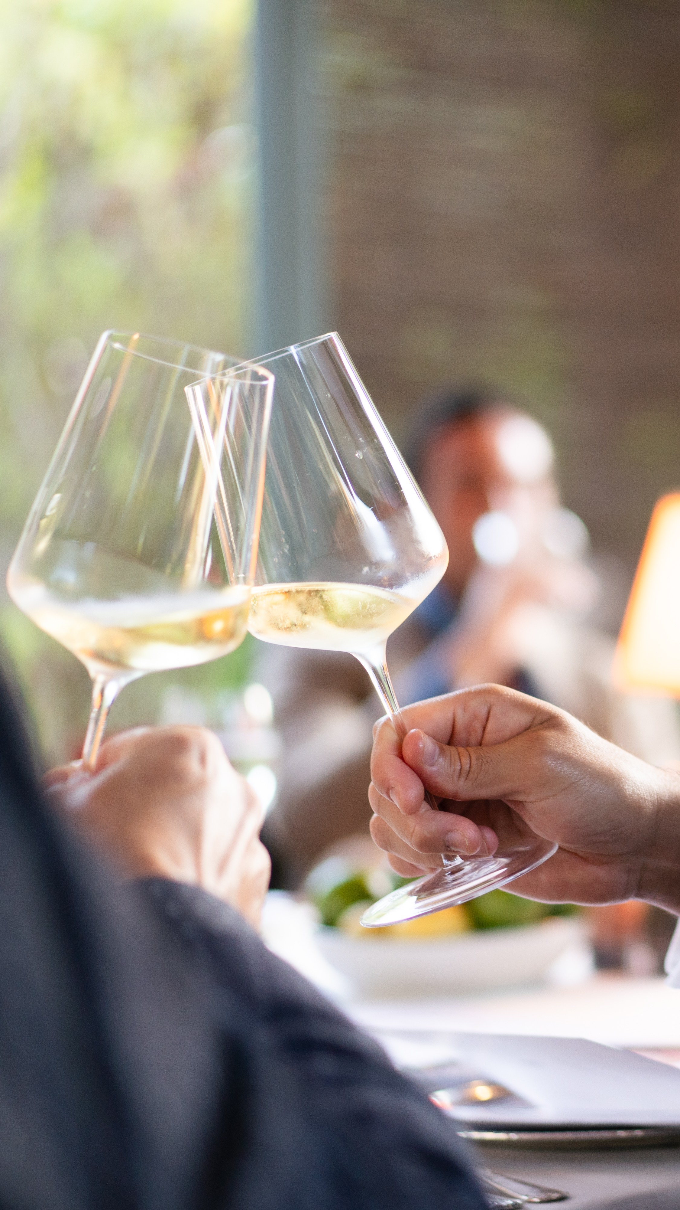 Restaurant Marbella costa del sol restaurante. Photo and video service in Malaga-Marbella-Estepona