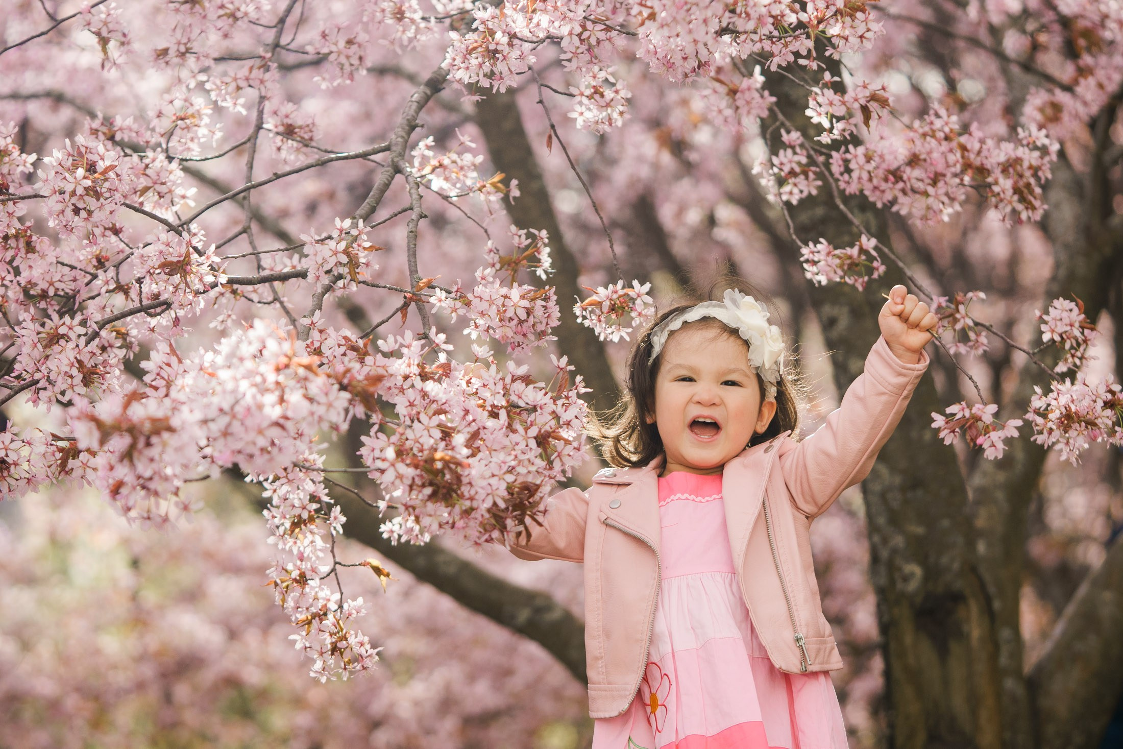 Minikuvaukset kirsikka-, omena- ja rodopuitossa