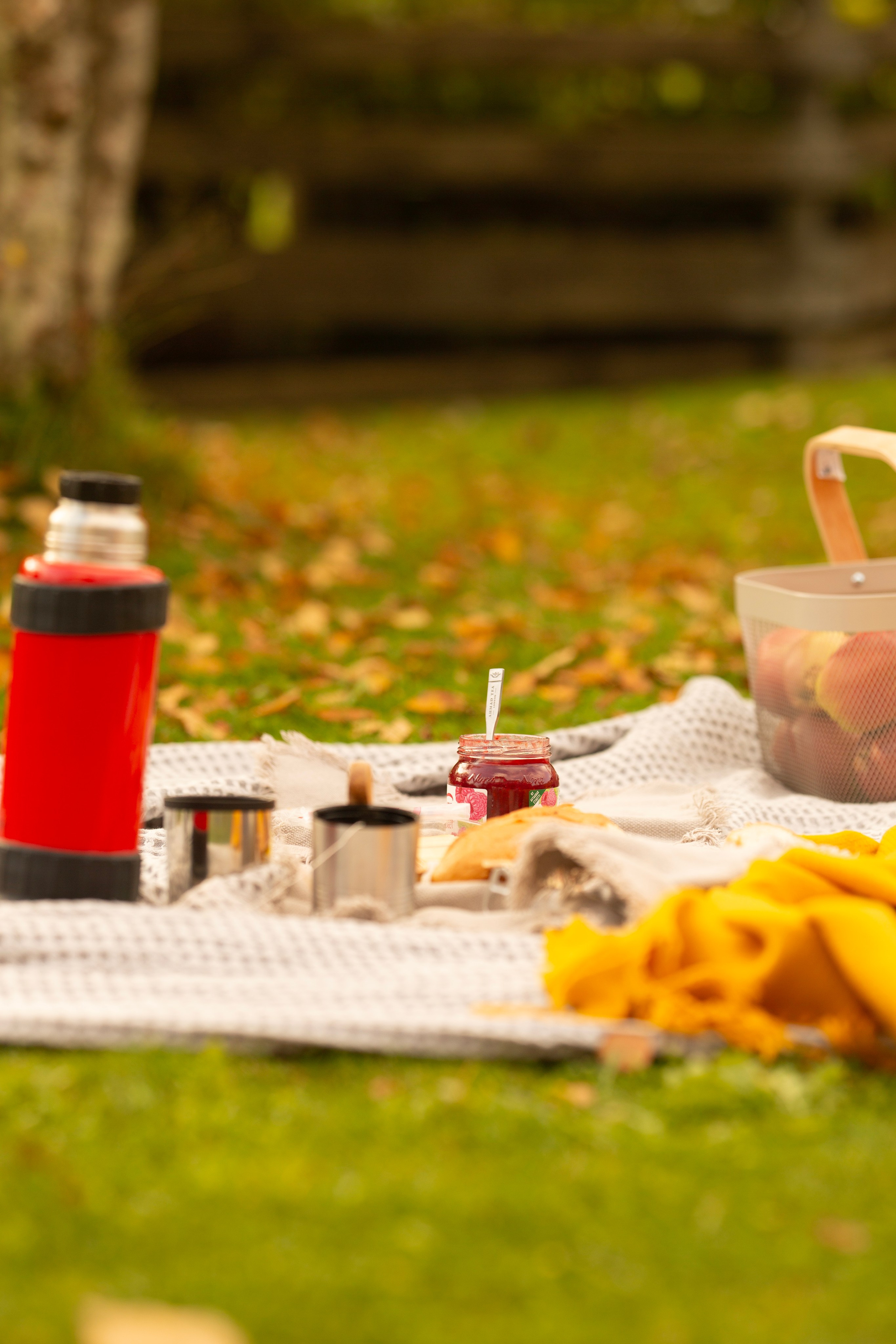 Piknick. Family and real state photographer in Haugesund Dina Vikra