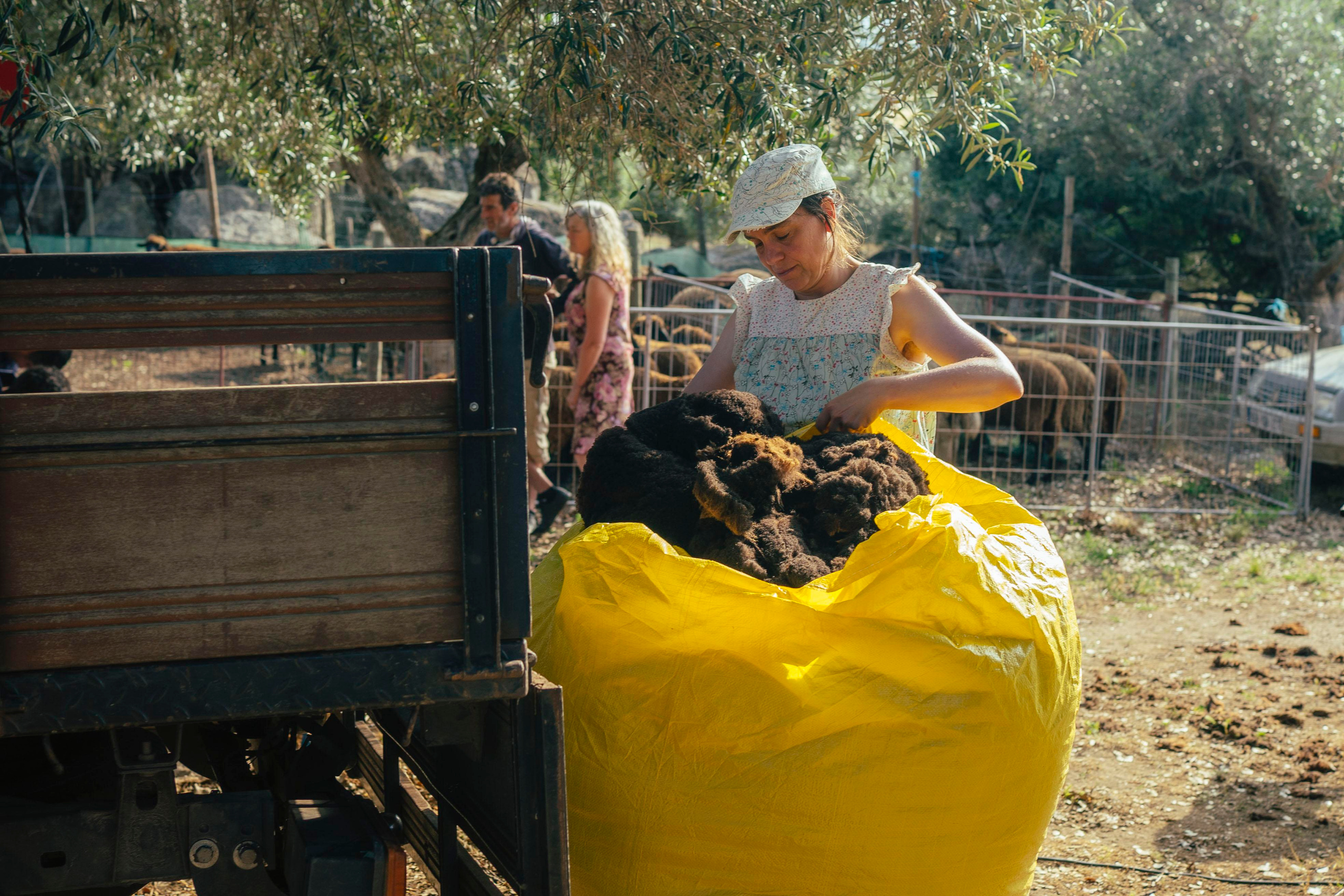 Sheep Shearing in Marvão. Maria Sher. Professional photographer from Porto, Portugal