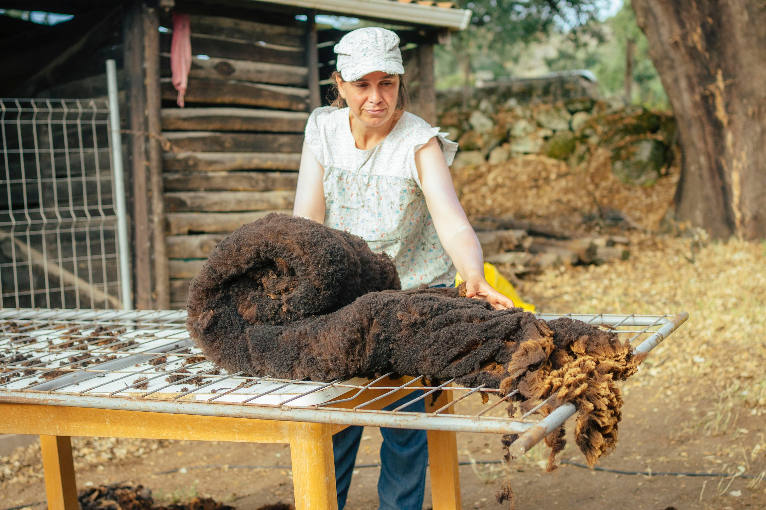 Sheep Shearing in Marvão. Maria Sher. Professional photographer from Porto, Portugal