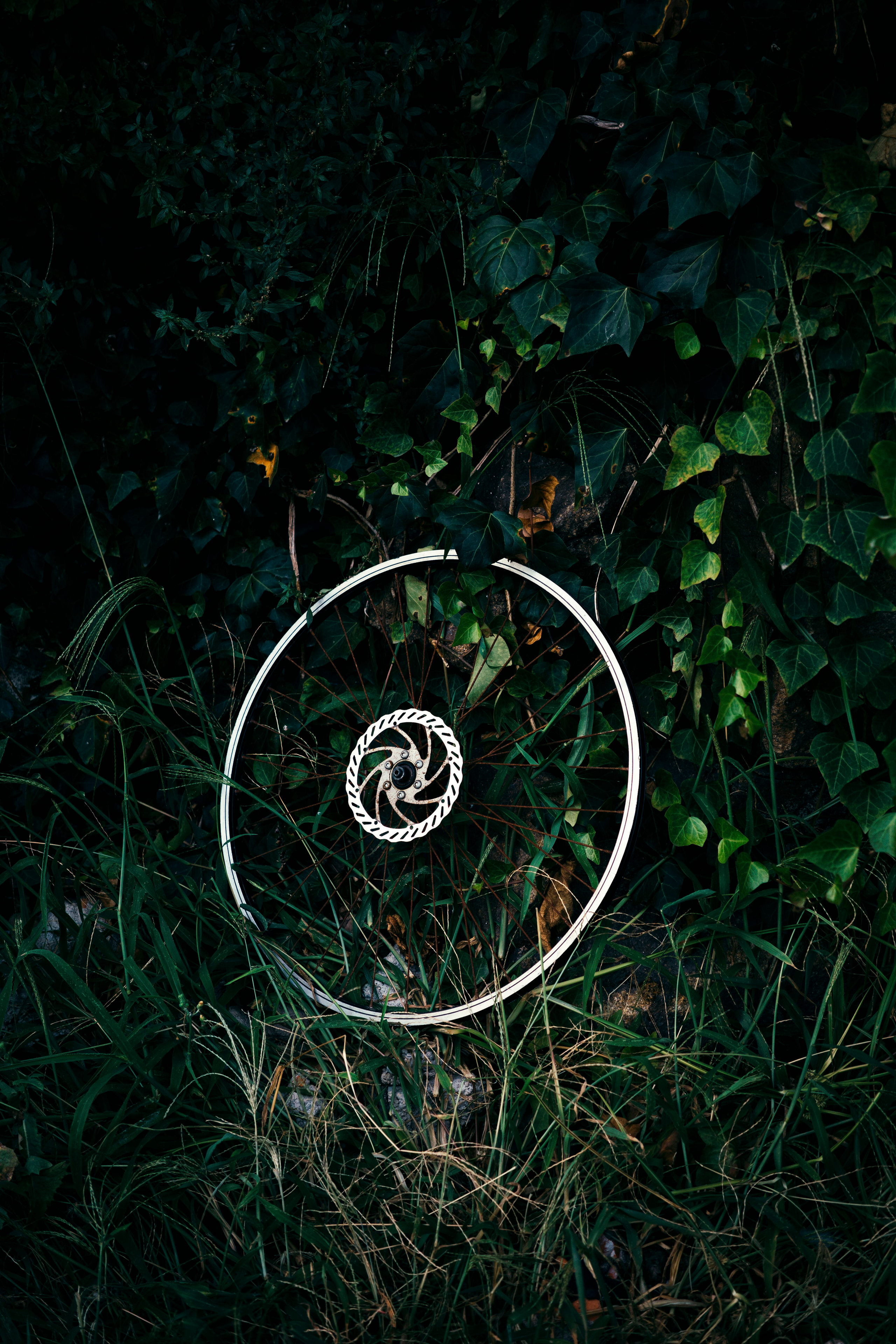 Street. Maria Sher. Professional photographer from Porto, Portugal