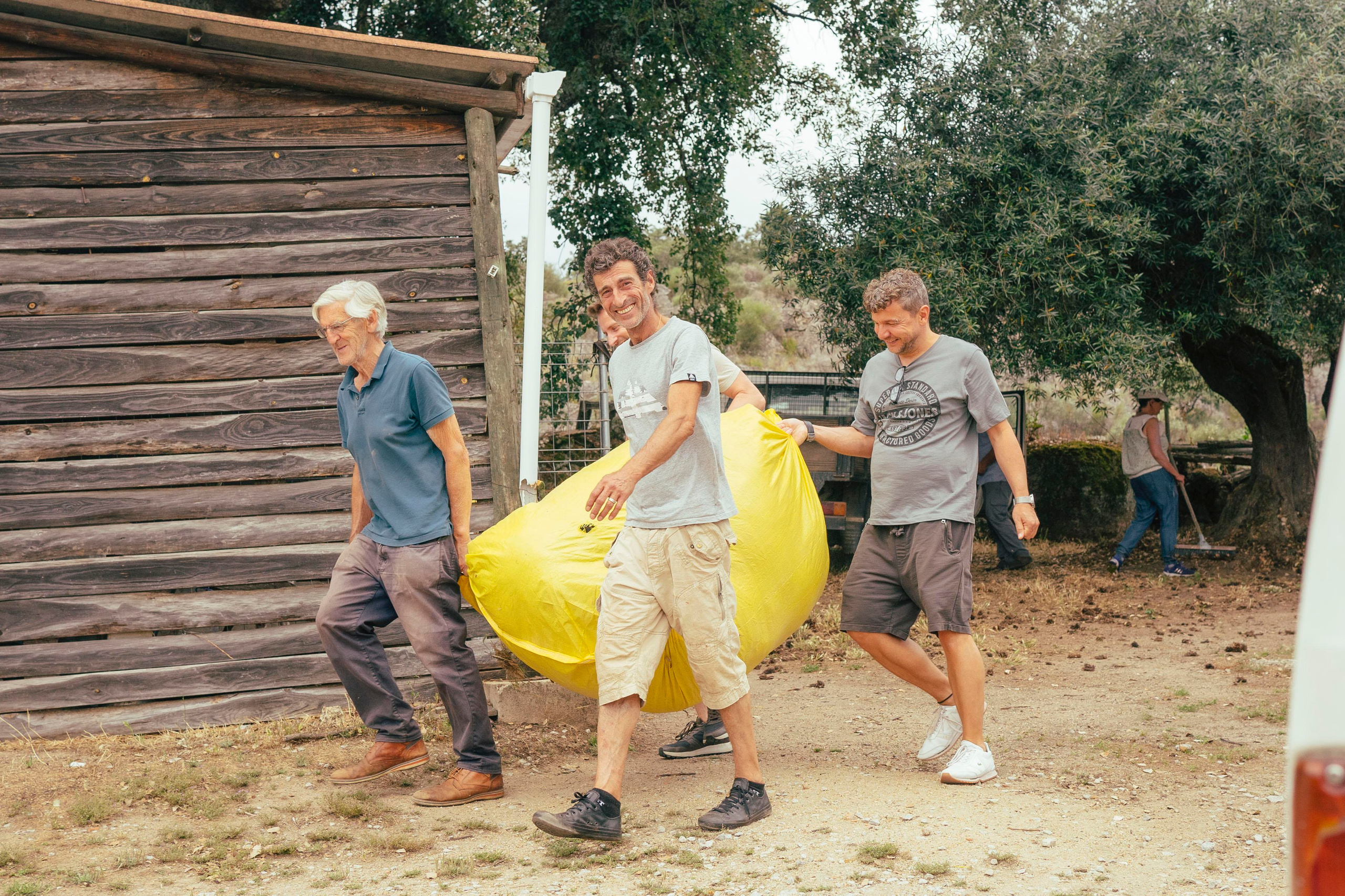 Sheep Shearing in Marvão. Maria Sher. Professional photographer from Porto, Portugal