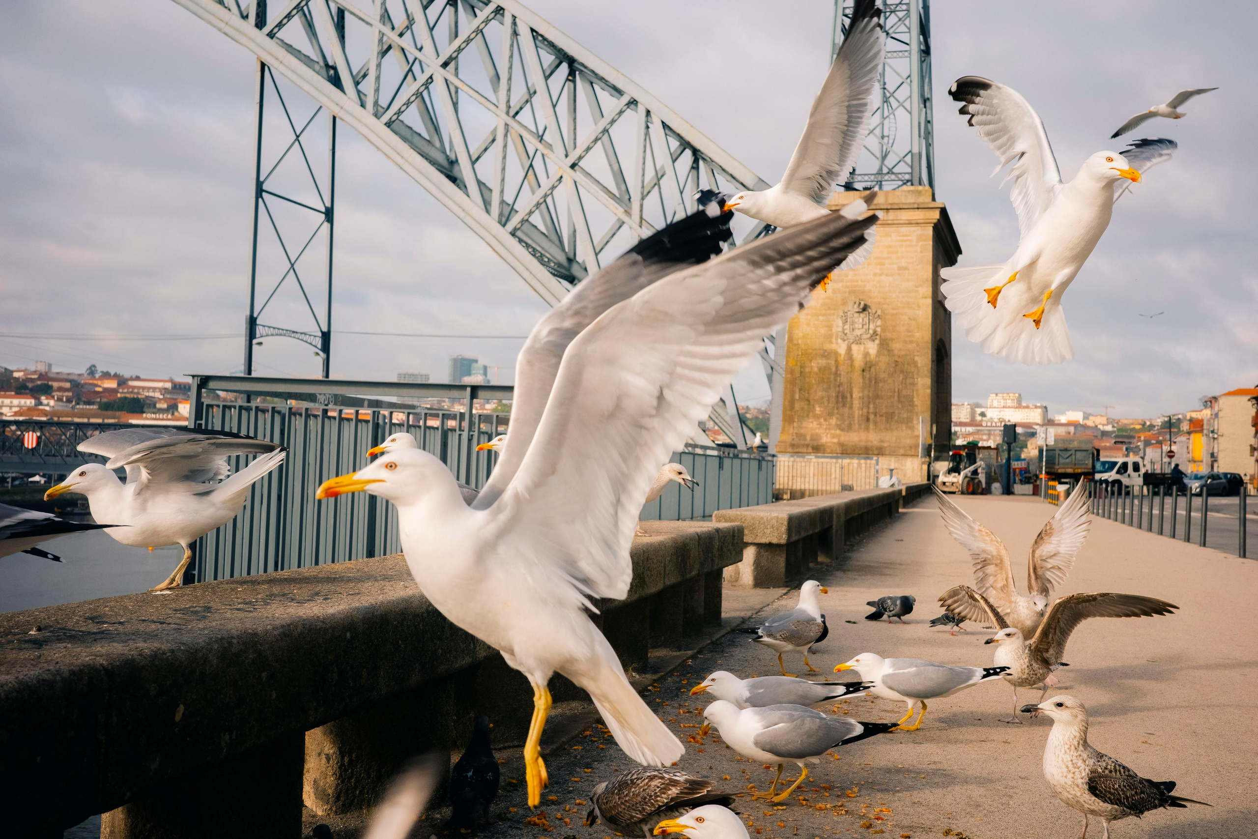Street. Maria Sher. Professional photographer from Porto, Portugal