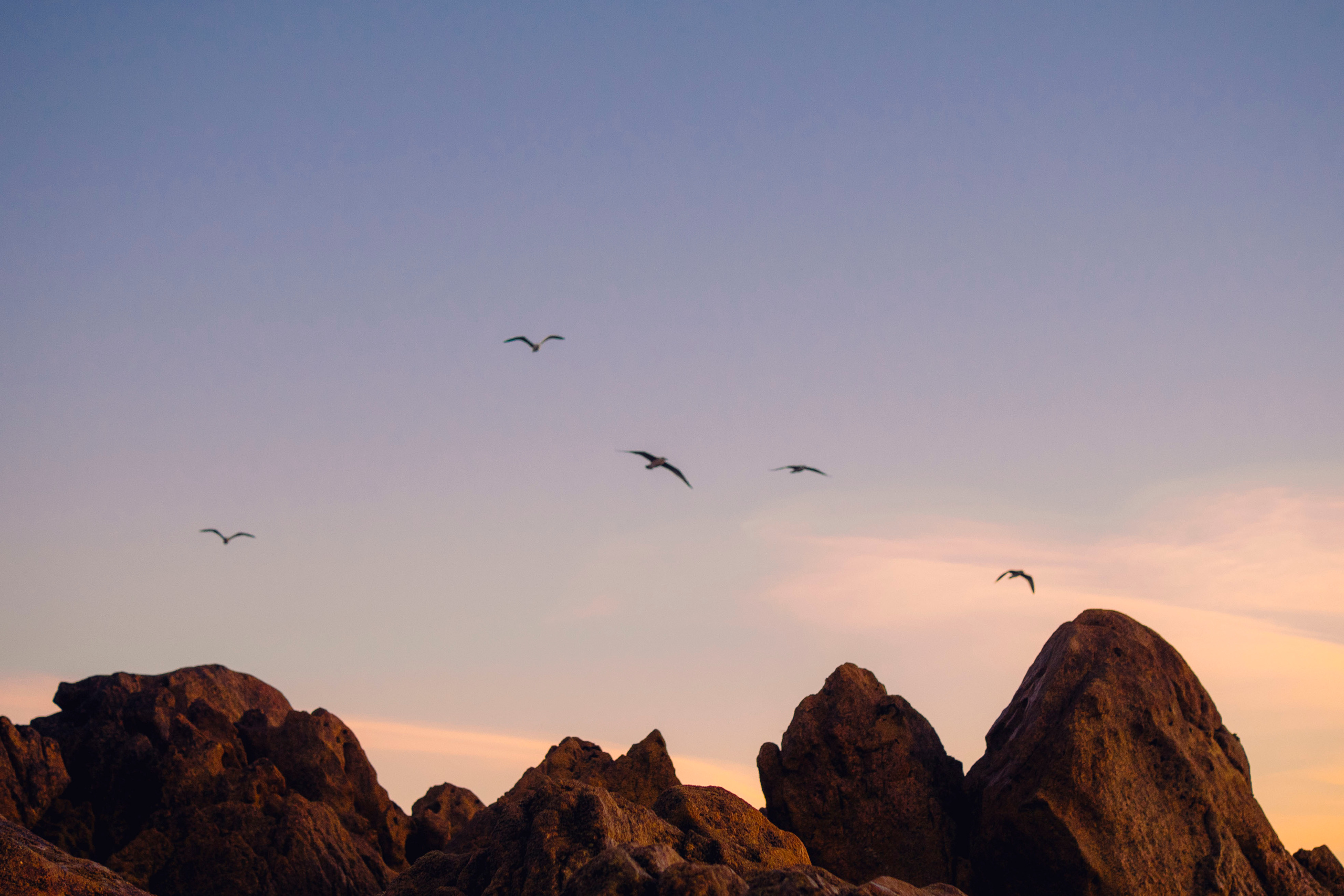 Yulia. Maria Sher. Professional photographer from Porto, Portugal