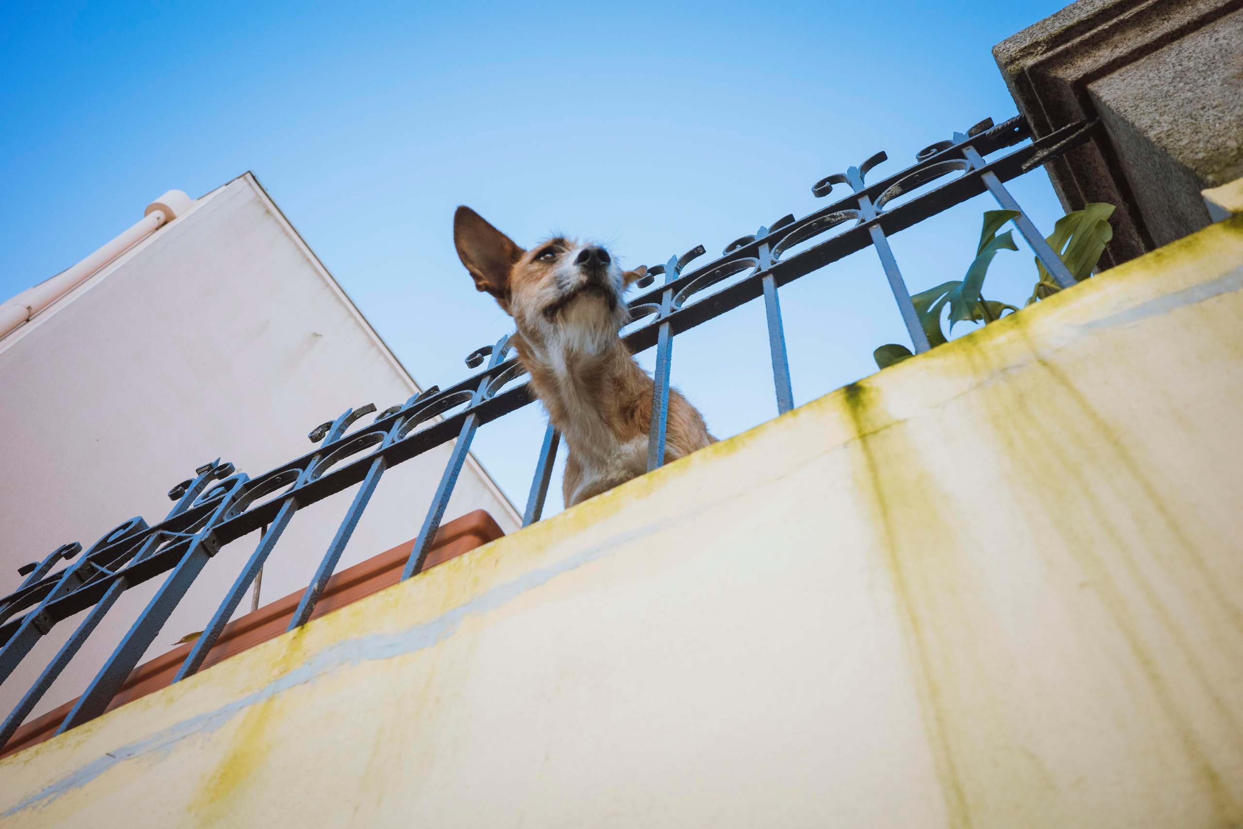 Street. Maria Sher. Professional photographer from Porto, Portugal