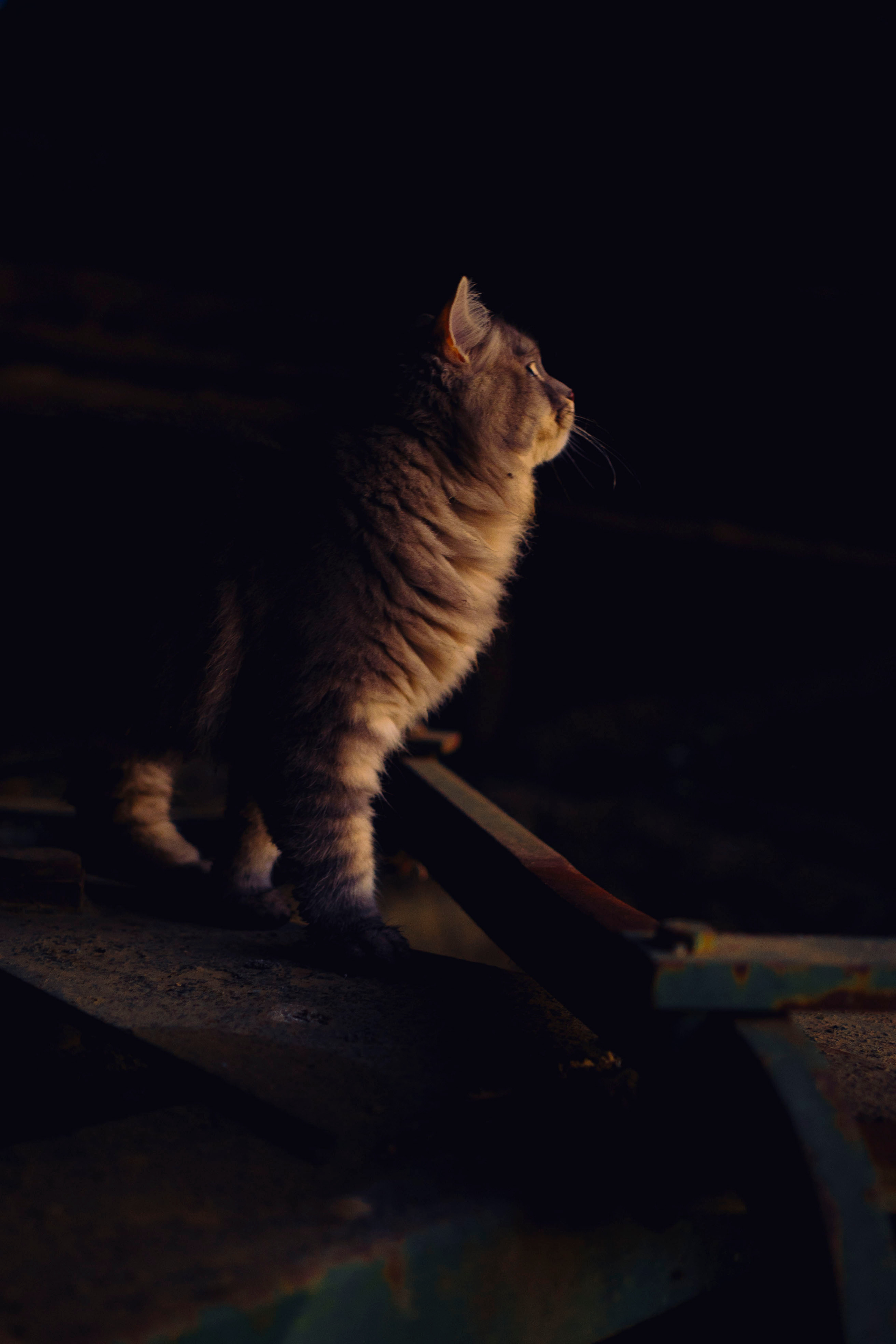 Masha. Maria Sher. Professional photographer from Porto, Portugal