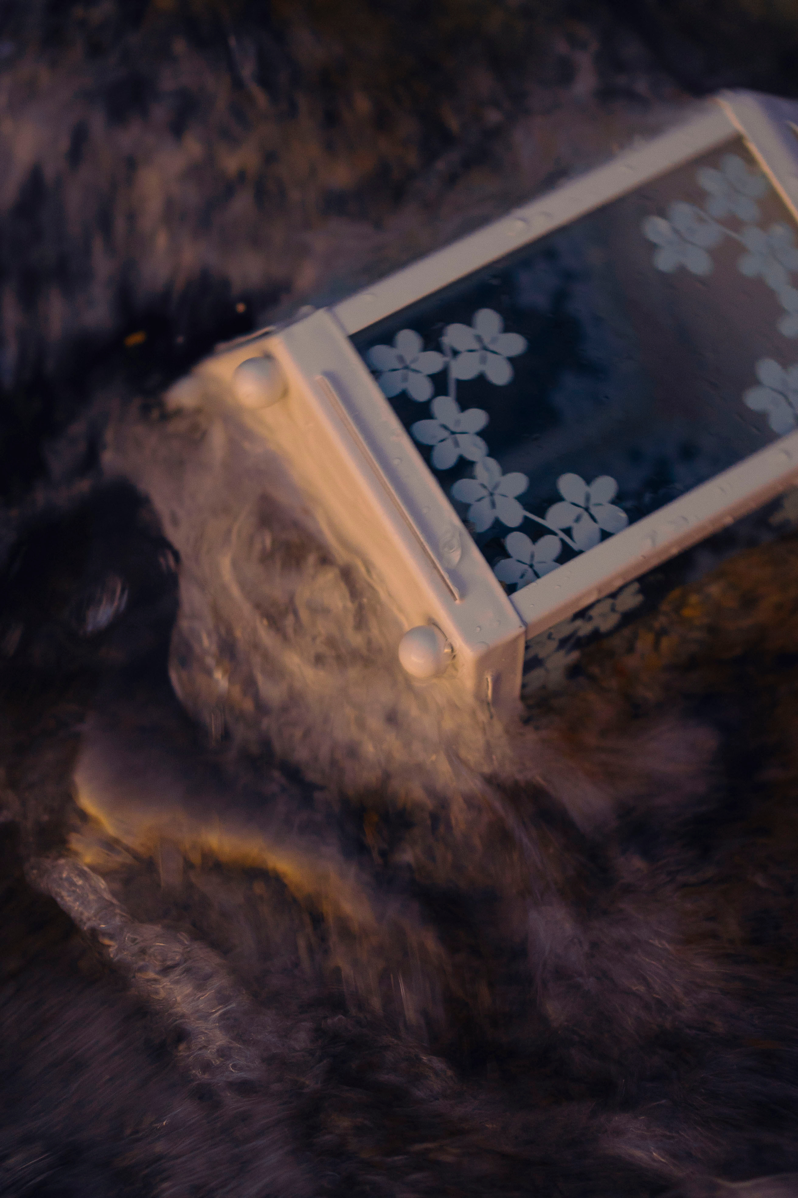 Yulia. Maria Sher. Professional photographer from Porto, Portugal