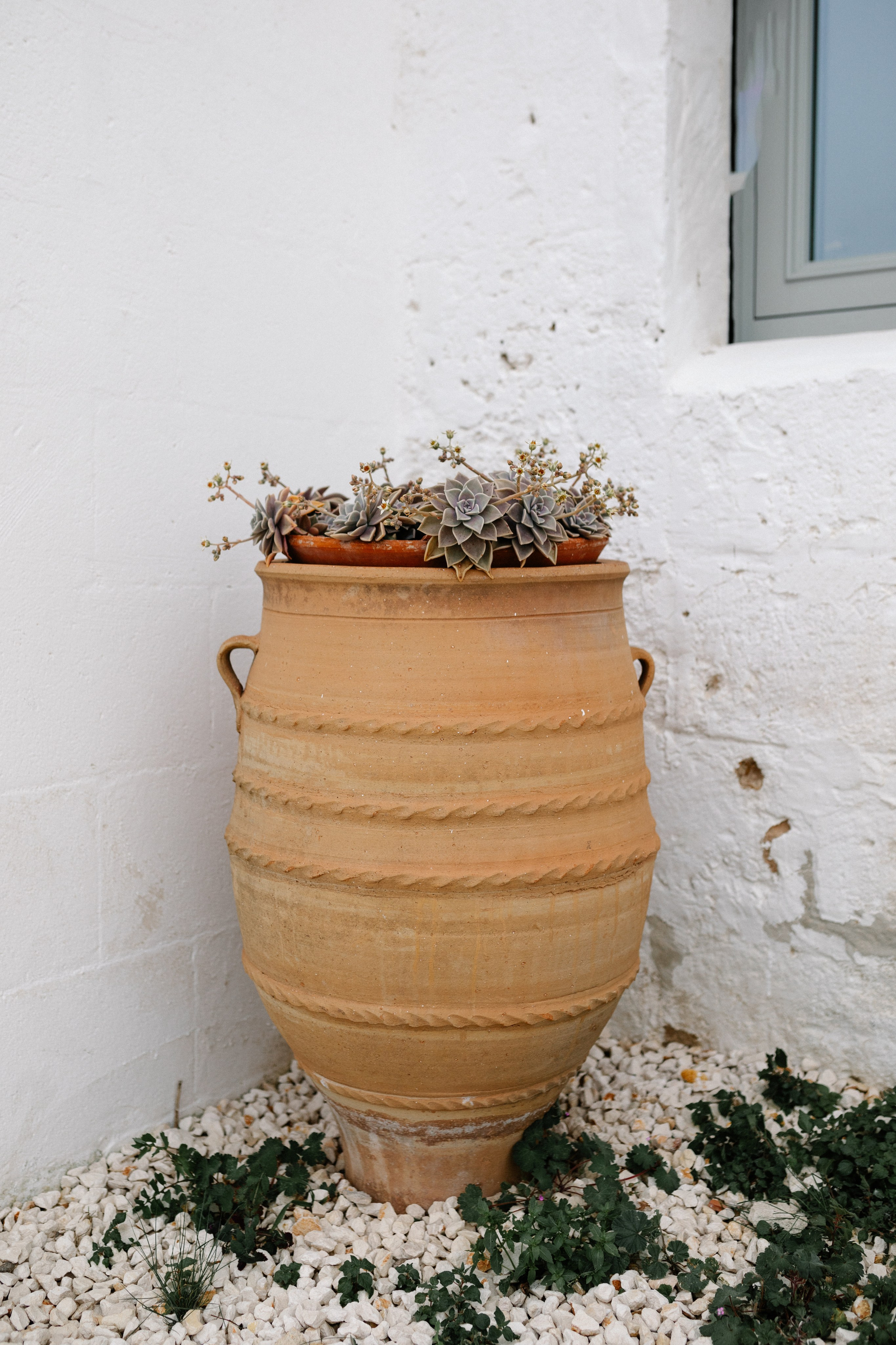 Alyssa&Sean. Весільний фотограф Вікторія Саврук