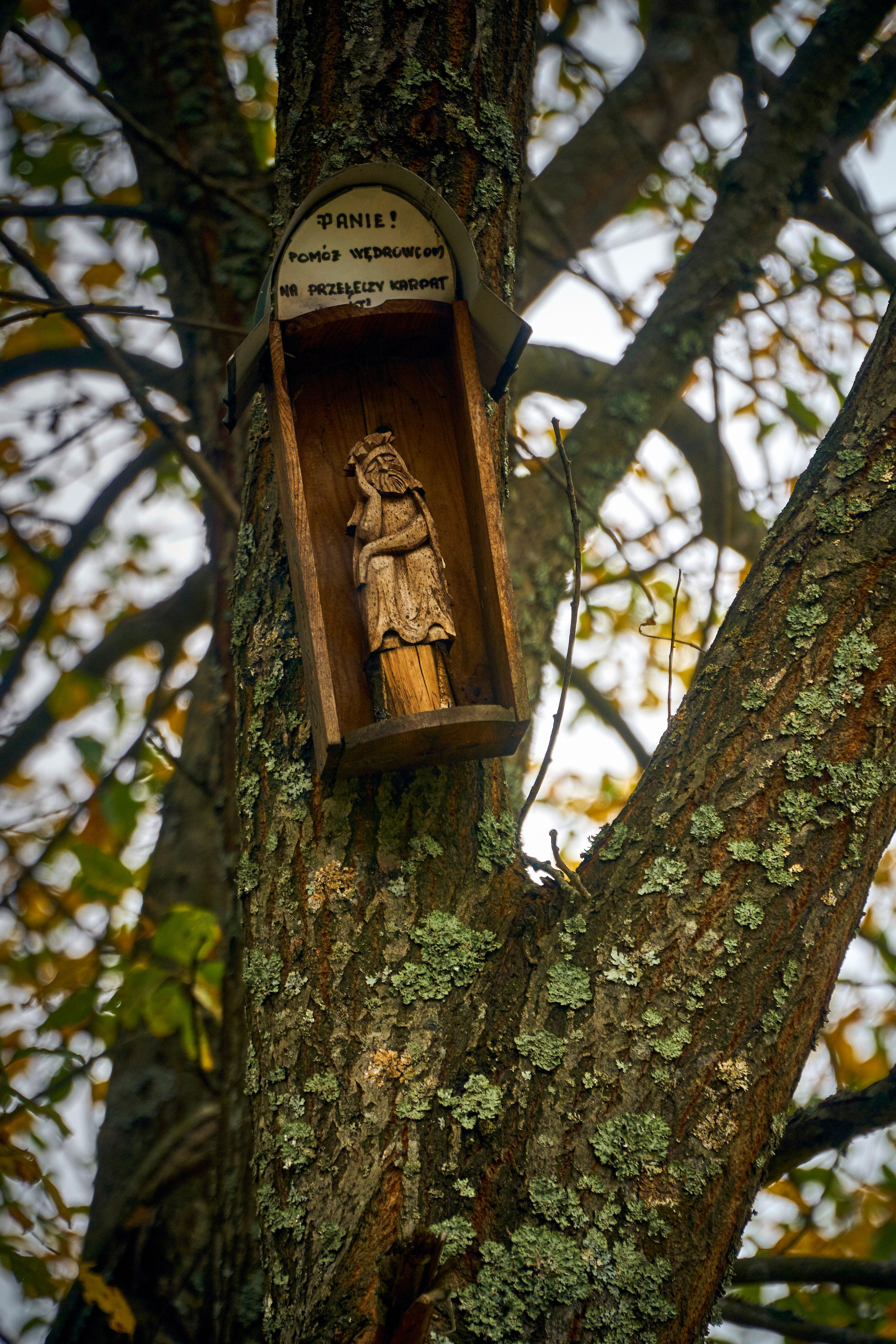 Bieszczady - tu zatrzymuje się czas. Andriej Szypilow - Fotografia & Wideografia