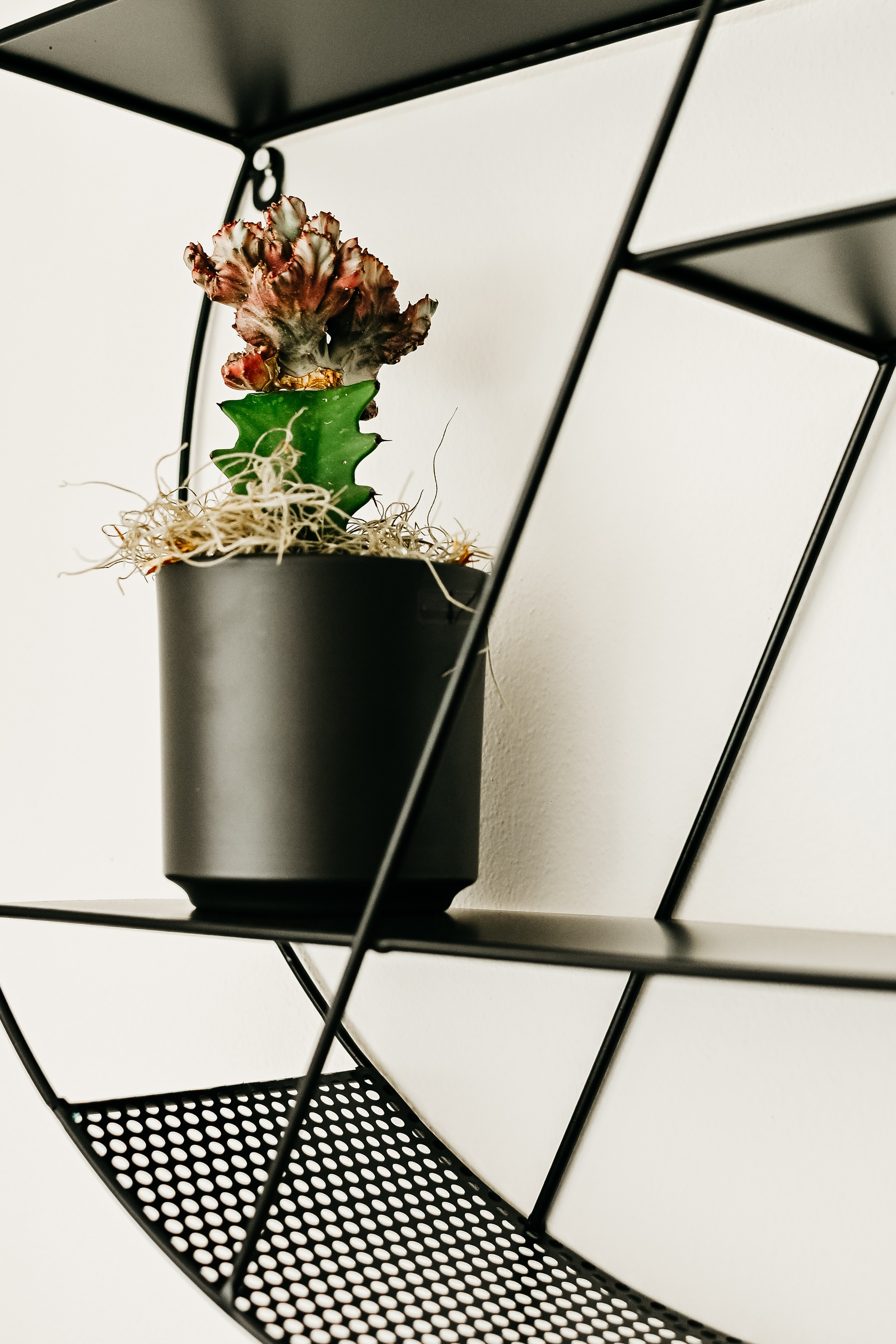 Airbnb Sterzing. Familienfotografin aus Sterzing Elena Muehlsteiger