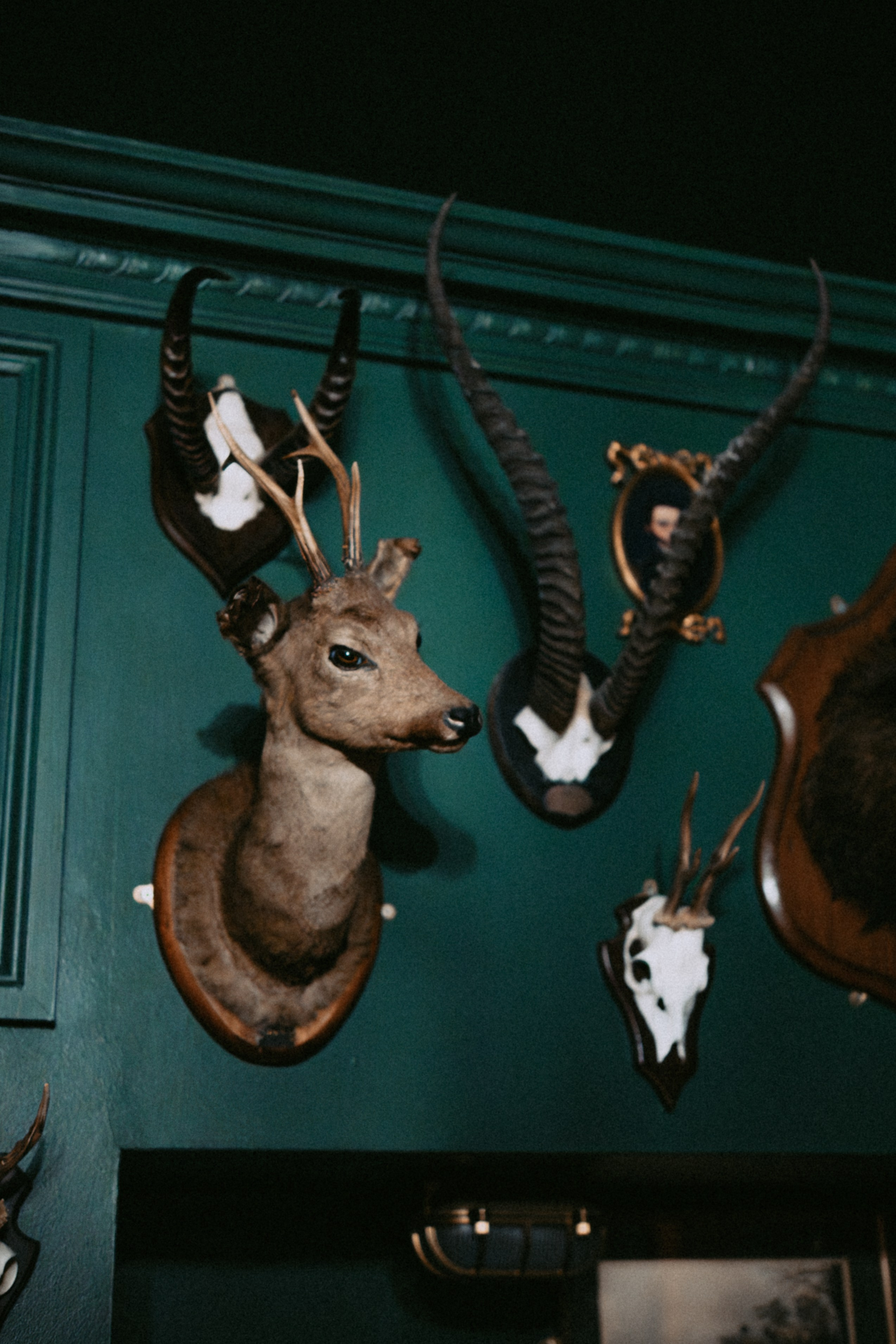 Vampire’s Dinner — Halloween Event Photography for “Gathered Realms”. Moth & Moss Photography