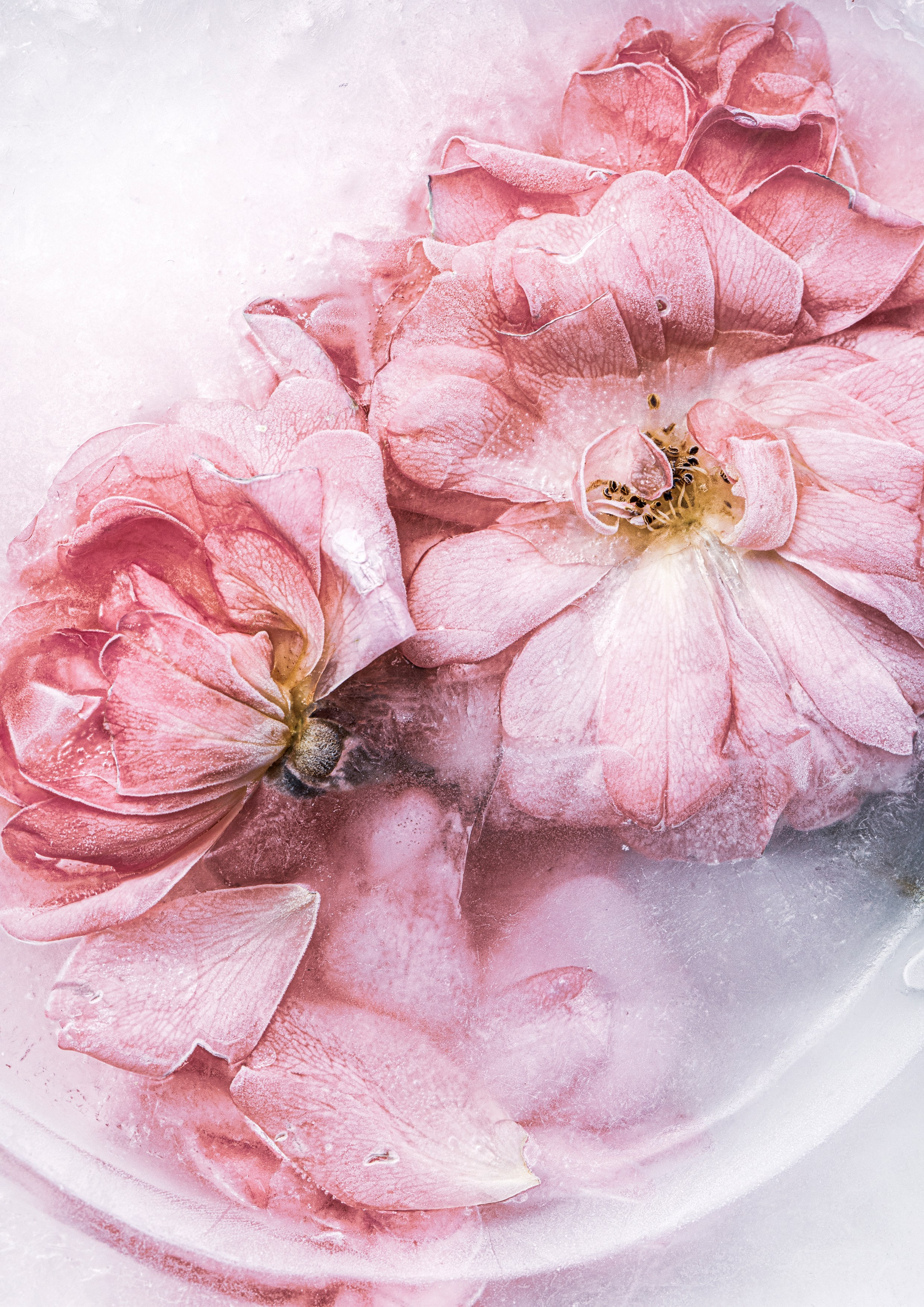 Valeria Mabo — Multidisciplinary artist in Barcelona