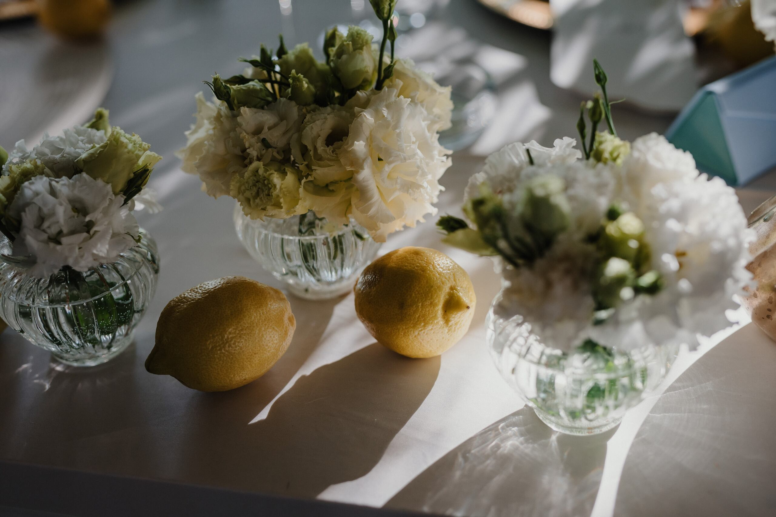 Leona & Ivan. Wedding photographer based in Novi Sad, Marko Milivojevic