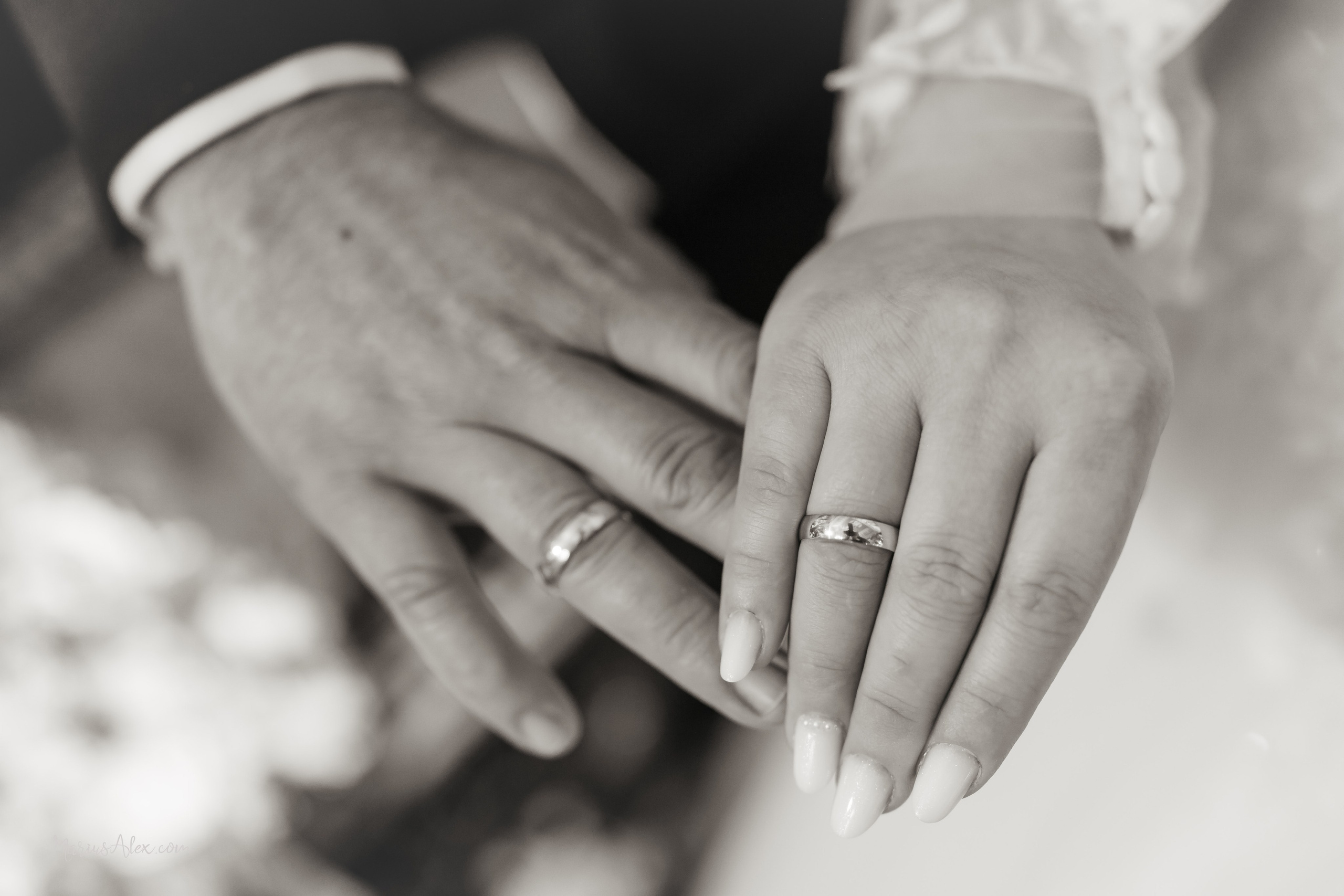 Teodora & Andrei - Amintiri frumoase de la nunta lor. Marius Alex fotograf de eveniment si portret din Suceava