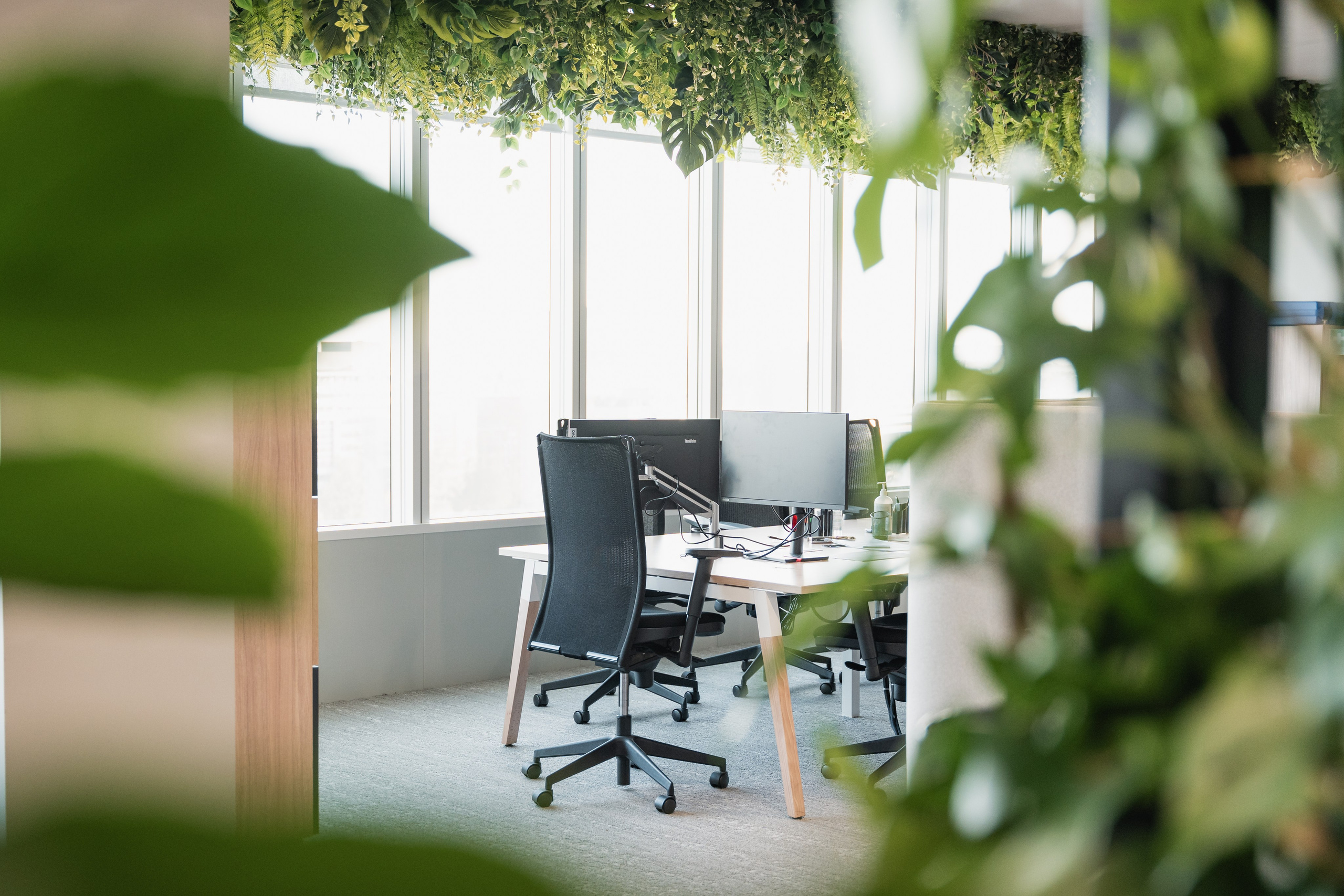 Office. Photographer in Paris — Vitalii Motruk