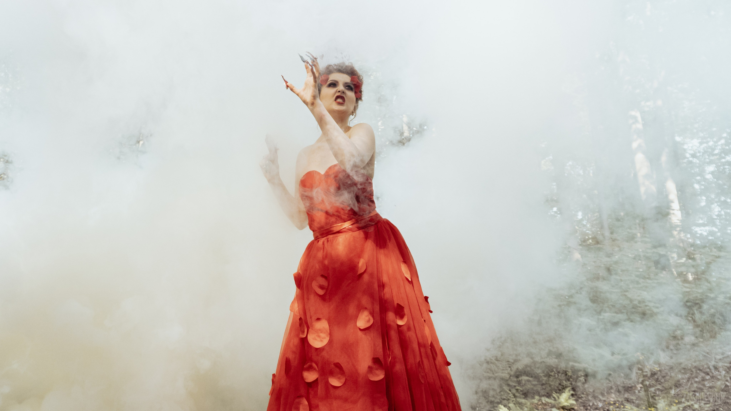 Alice In Wonderland. Main