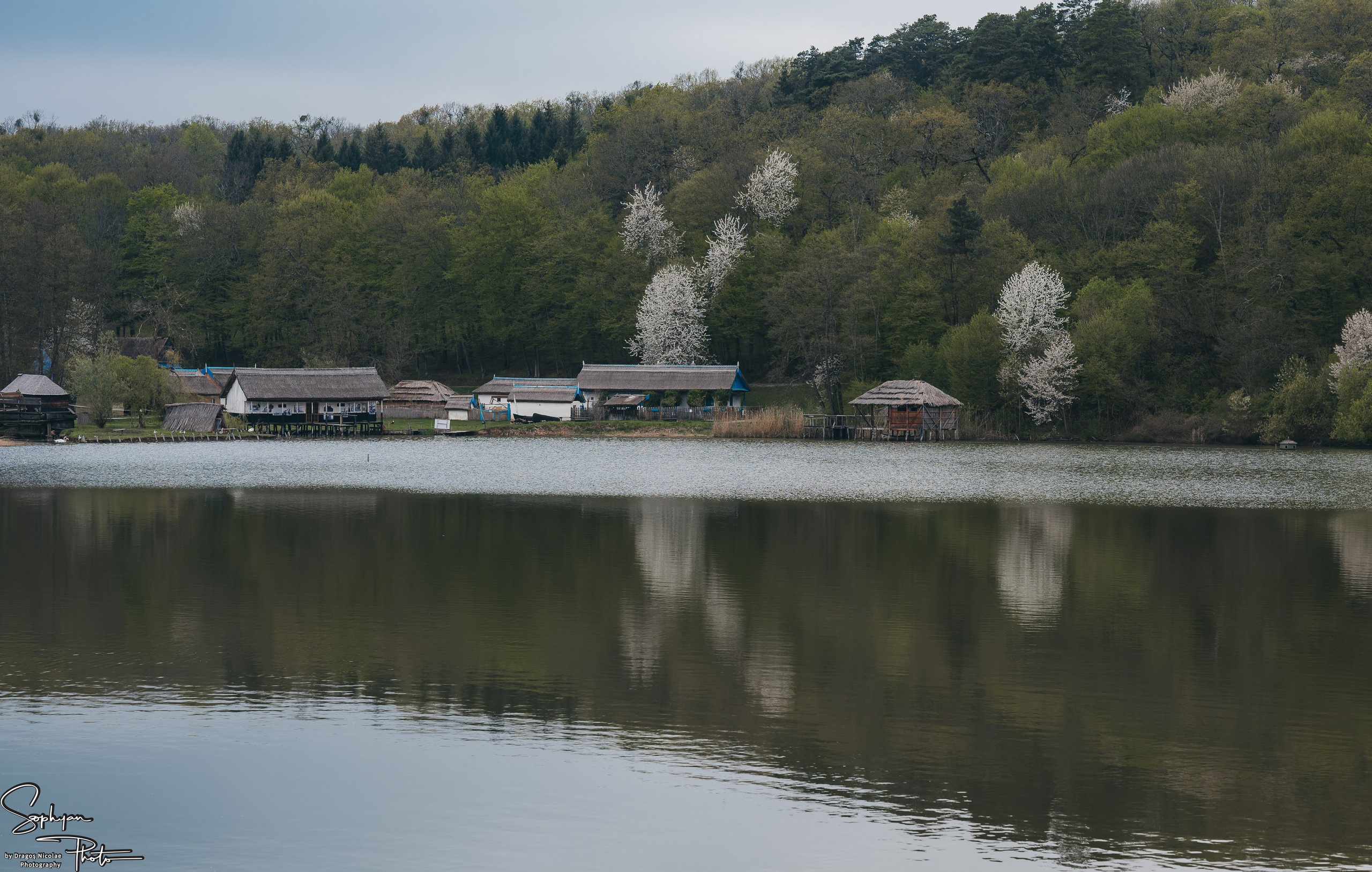 Sedinta foto save the date Andreea&Andrei