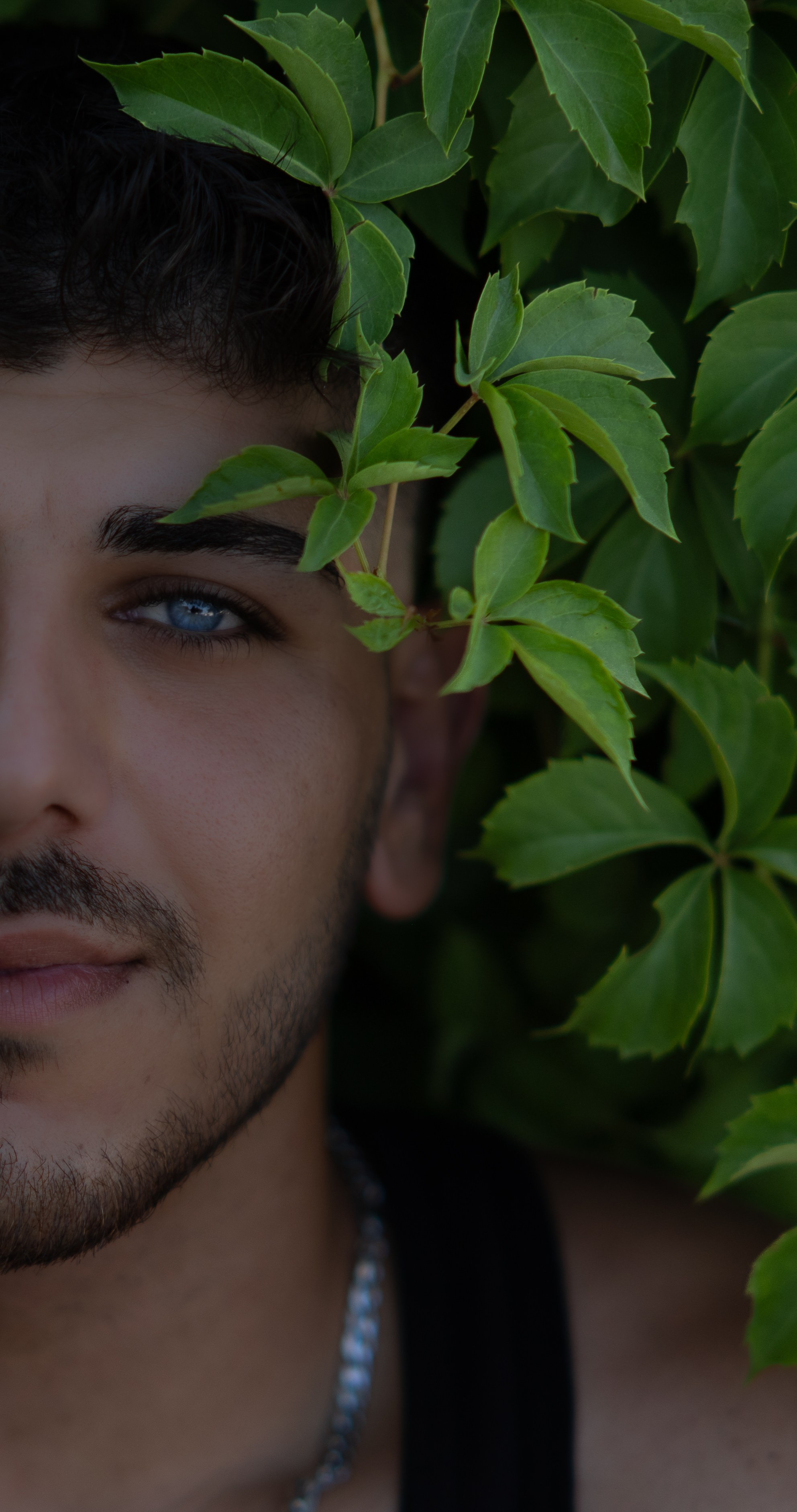 Мännliches / Geschäftsporträt. Fotografin Kati Rebling