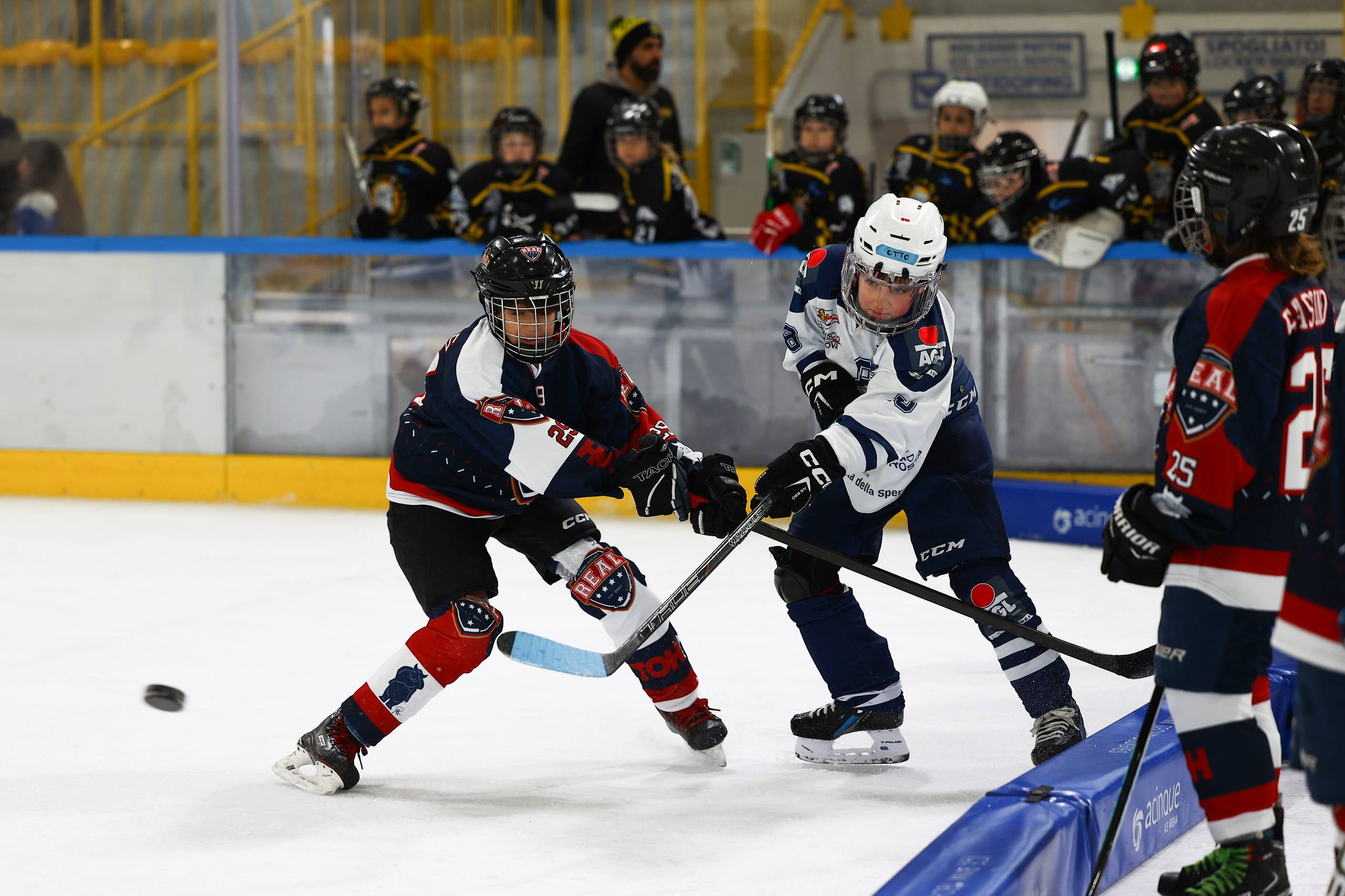 Elena Radchenko Portfoglio Sport Events. Fotografo Videomaker Drone Padova Venice Italy Elena Radchenko