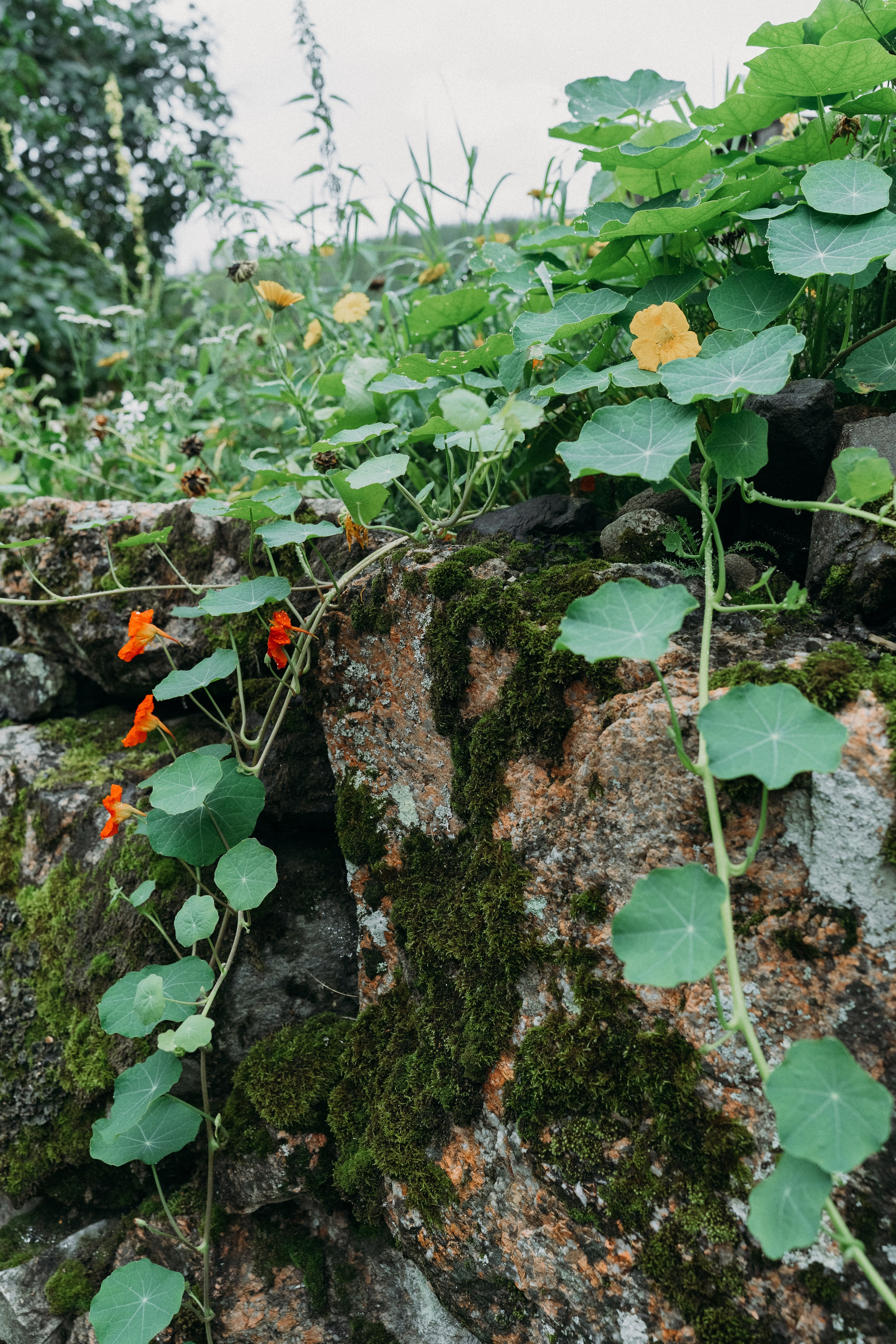 A&O. Wedding and portrait photographer in Helsinki Vickan O