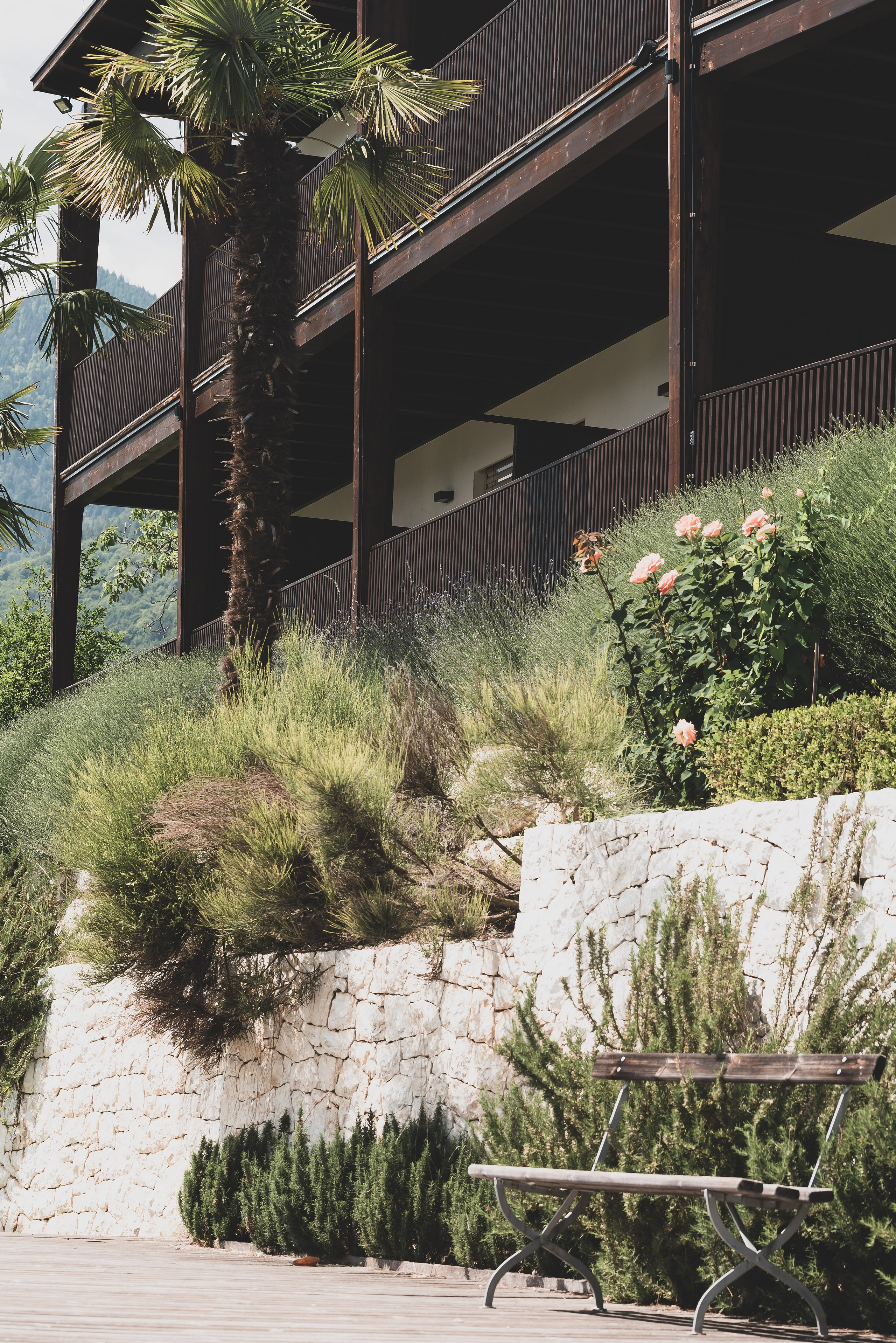 Die Sonne. Familienfotografin aus Sterzing Elena Muehlsteiger