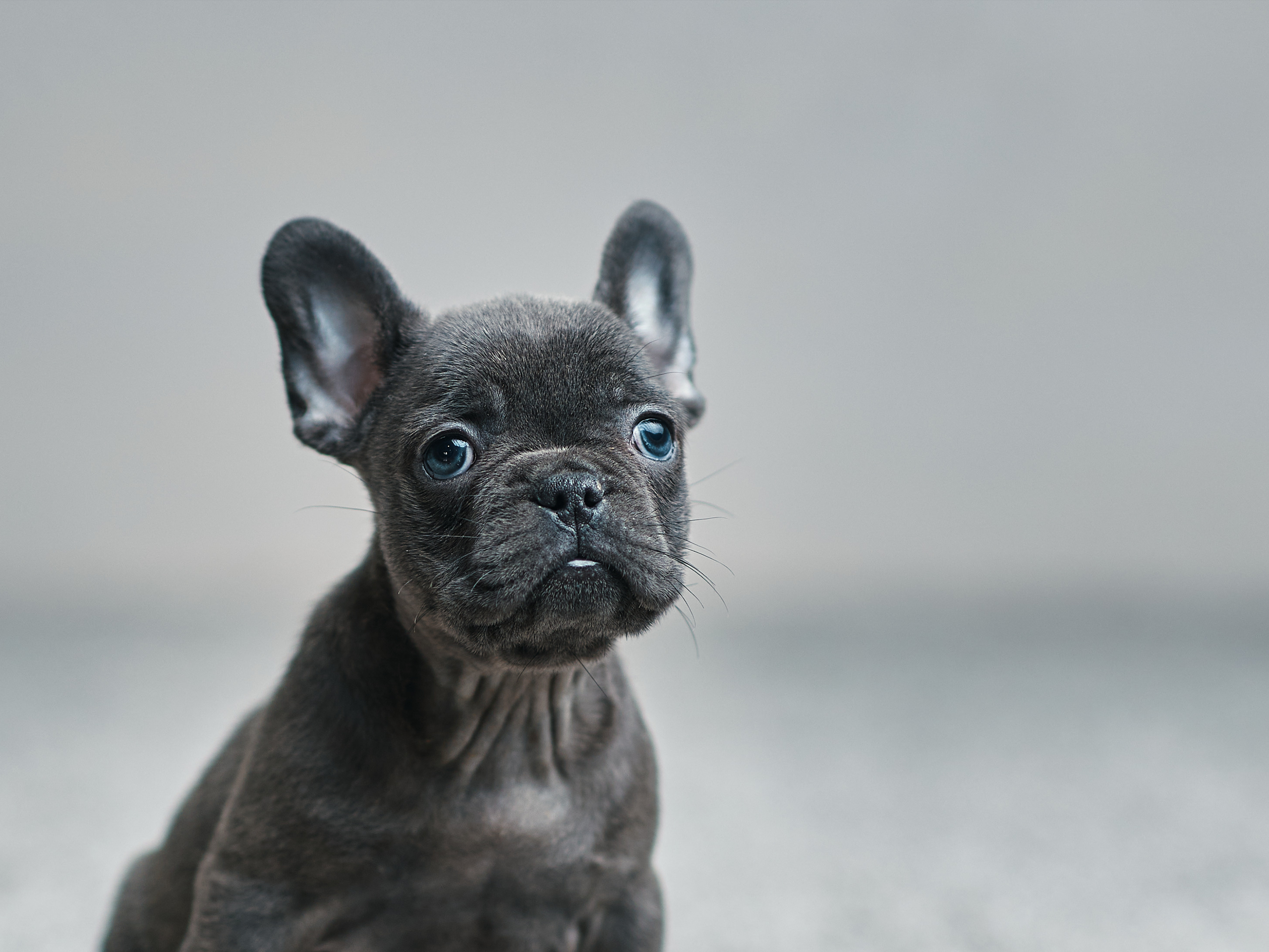 Commercial and studio photographer in Belgrade