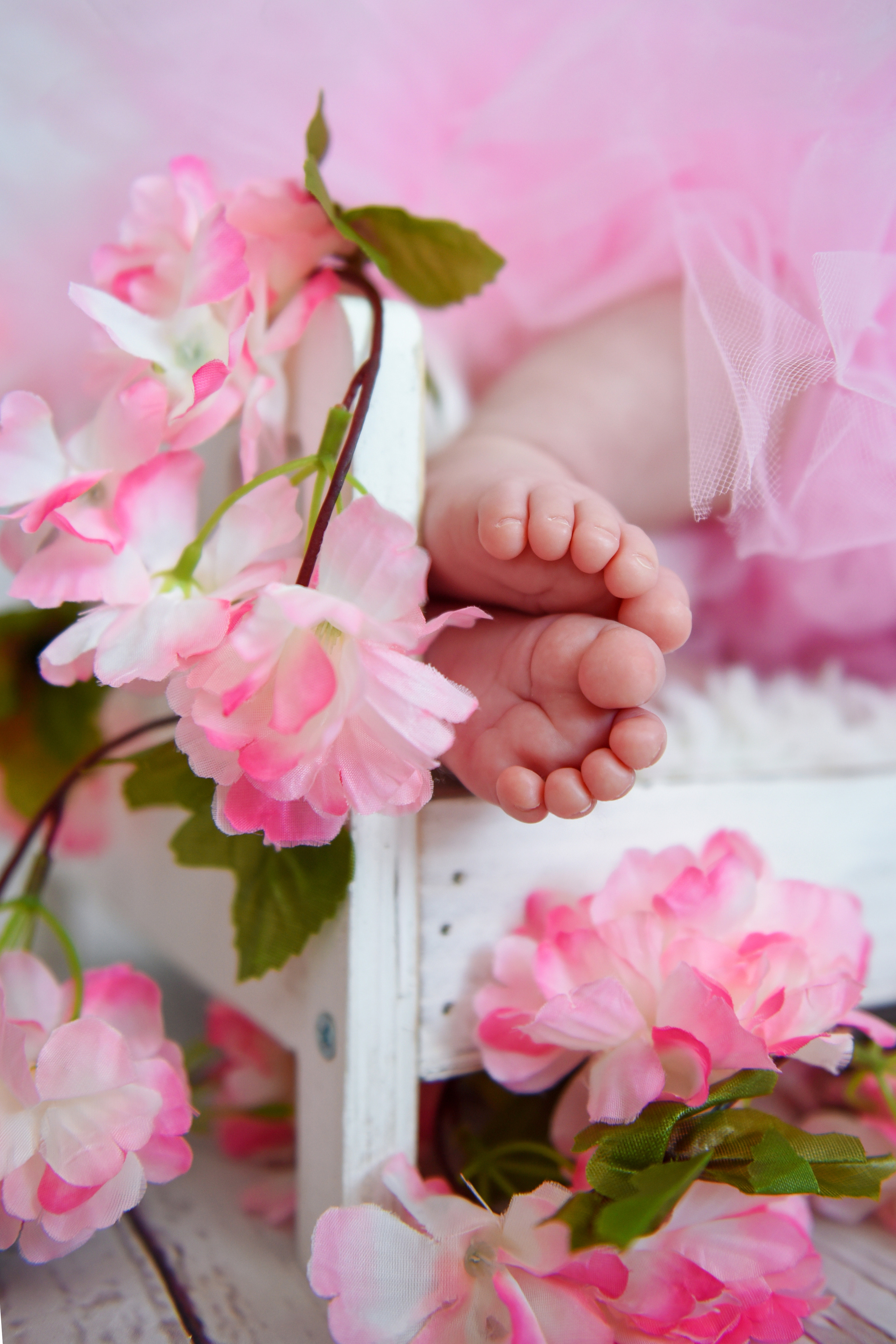 Baby. Fotografie, Sportartfotografie Sindelfingen, Elena Reger