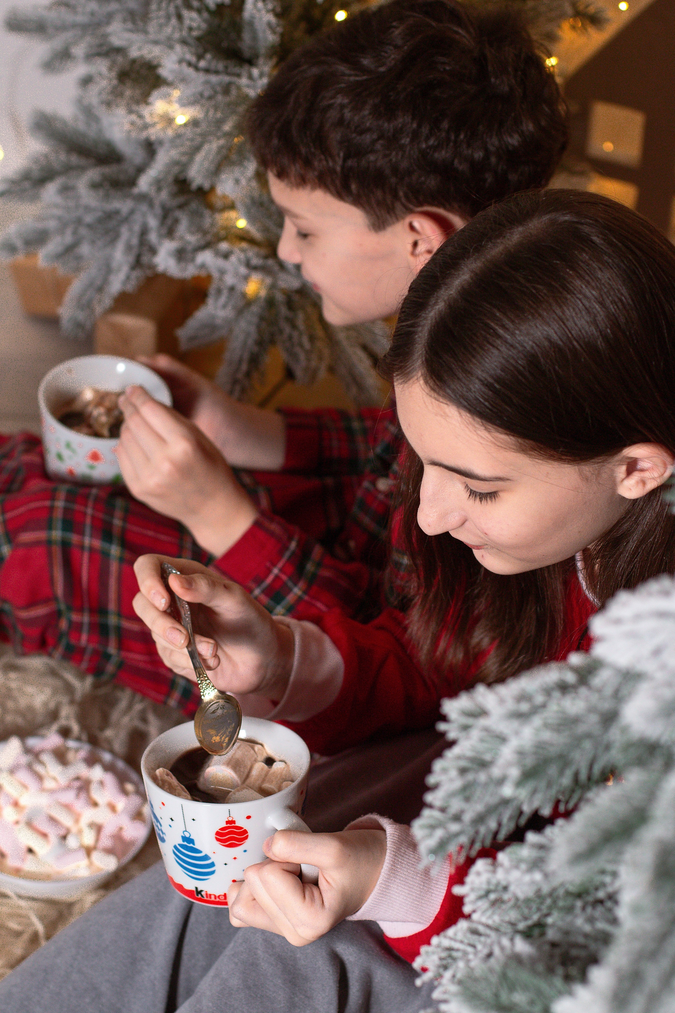 Новый год в студии. Детский и семейный фотограф в г. Бельцы