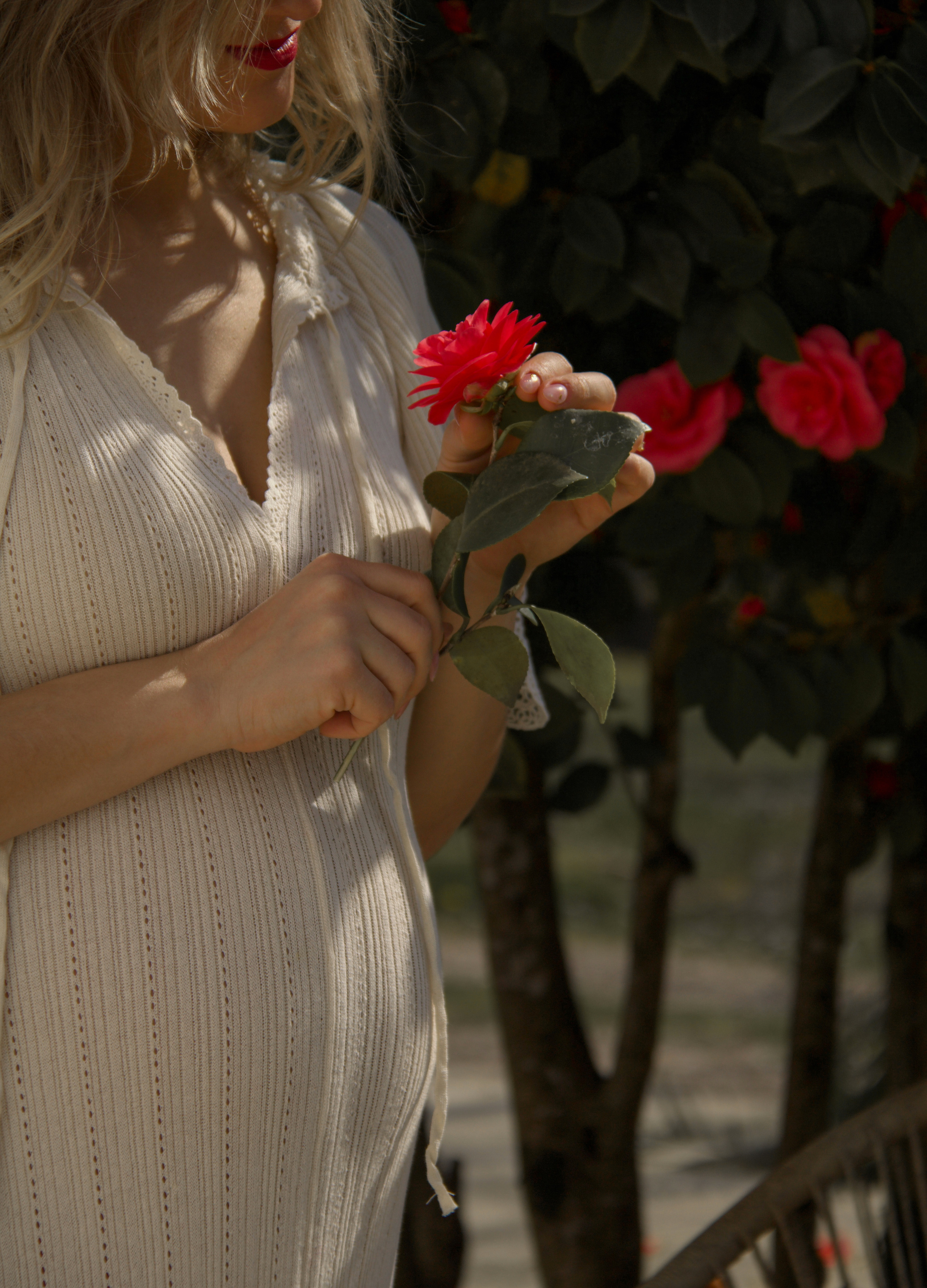 La future maman et session photo avec Camélias au Pays Basque 