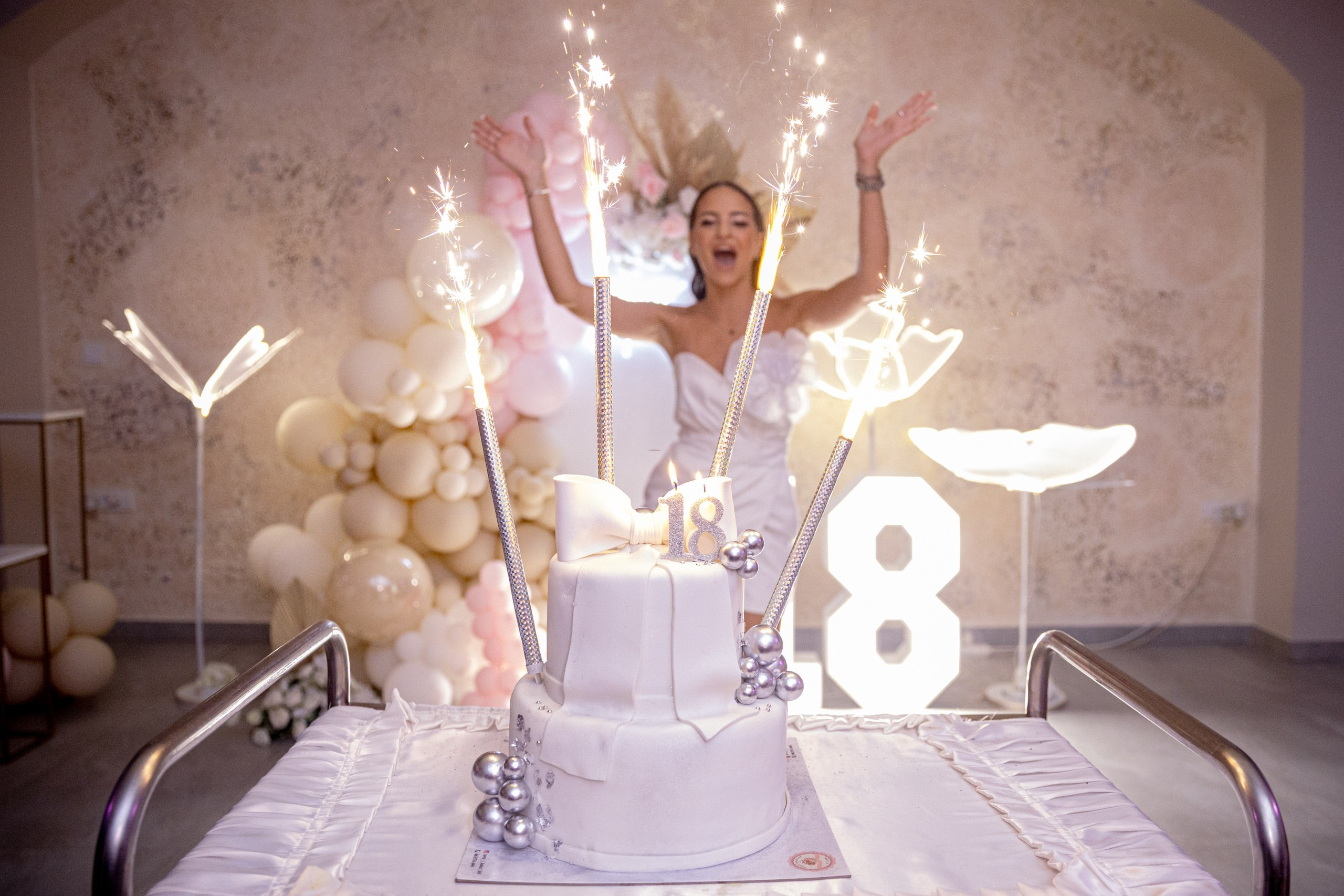 Anja 18. rođendan. Marko Tucić Photography | Fotograf Zrenjanin