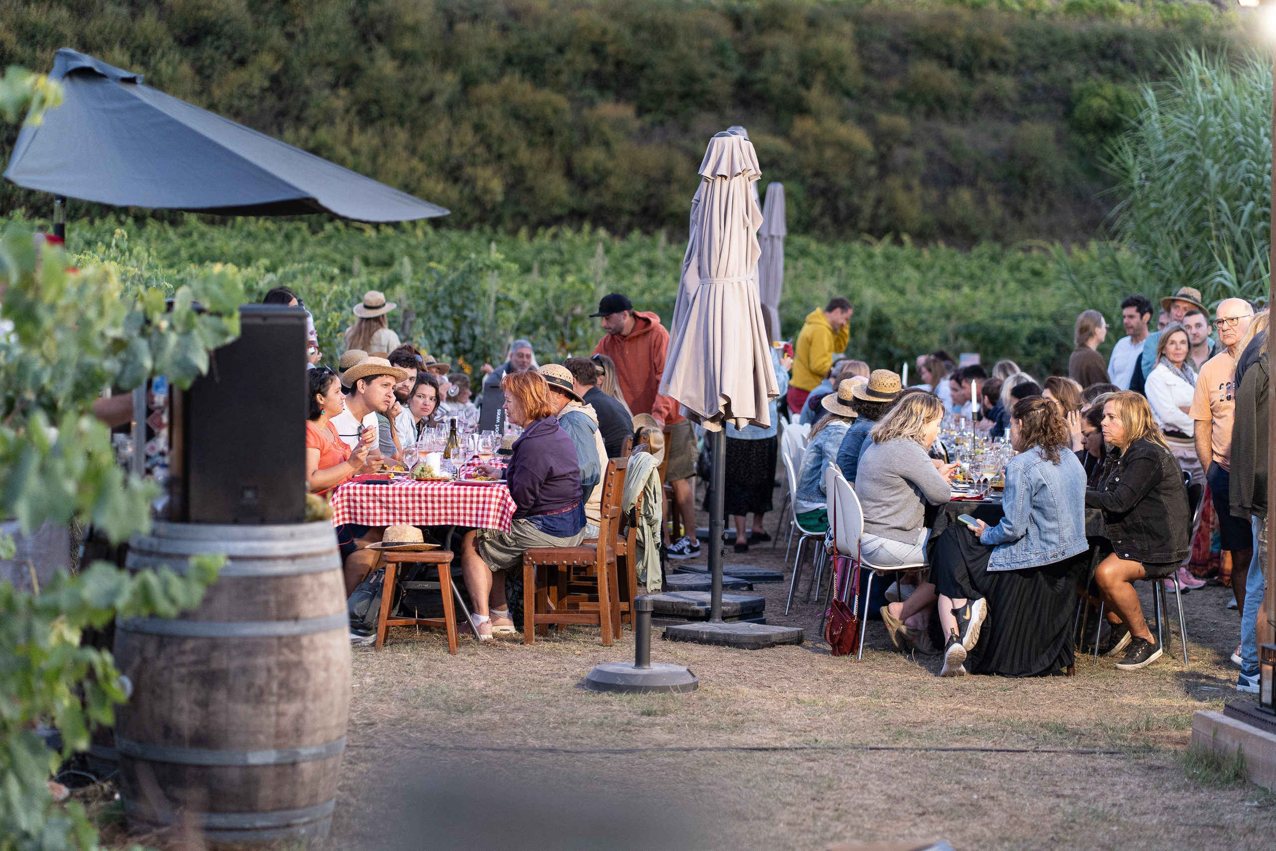 EVENTS. Event, portrait, content photographer in Lisbon and surrounding areas