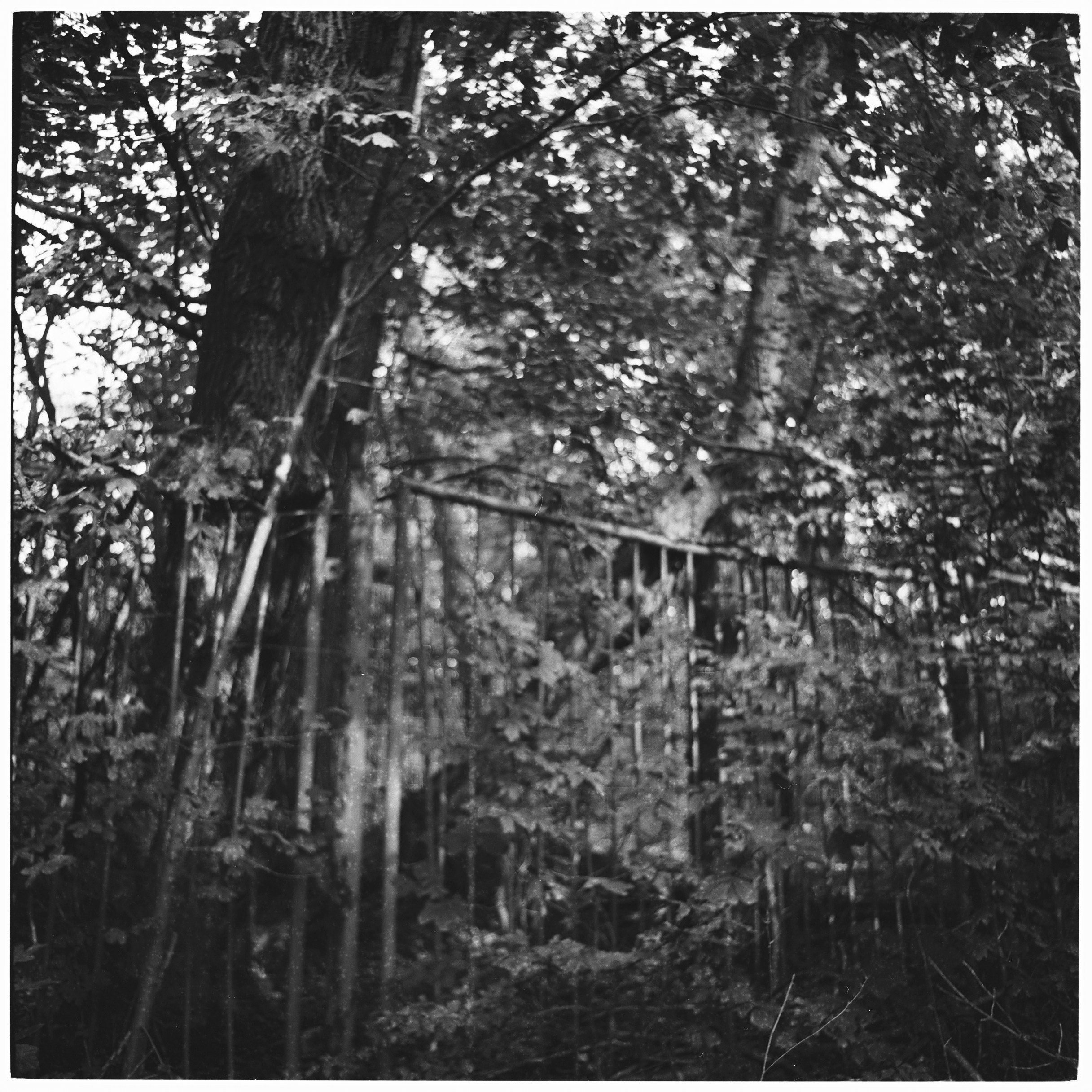 Analog Sketches. Anastasia Musinova