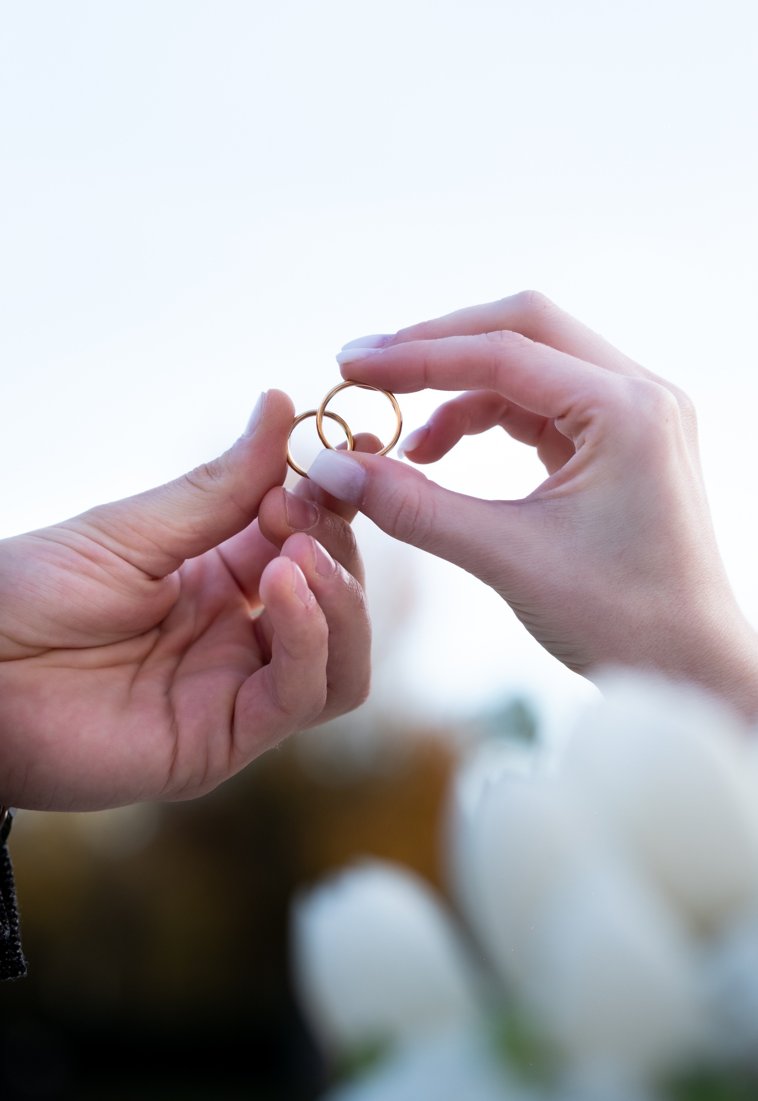 N&C. Grosu Photography