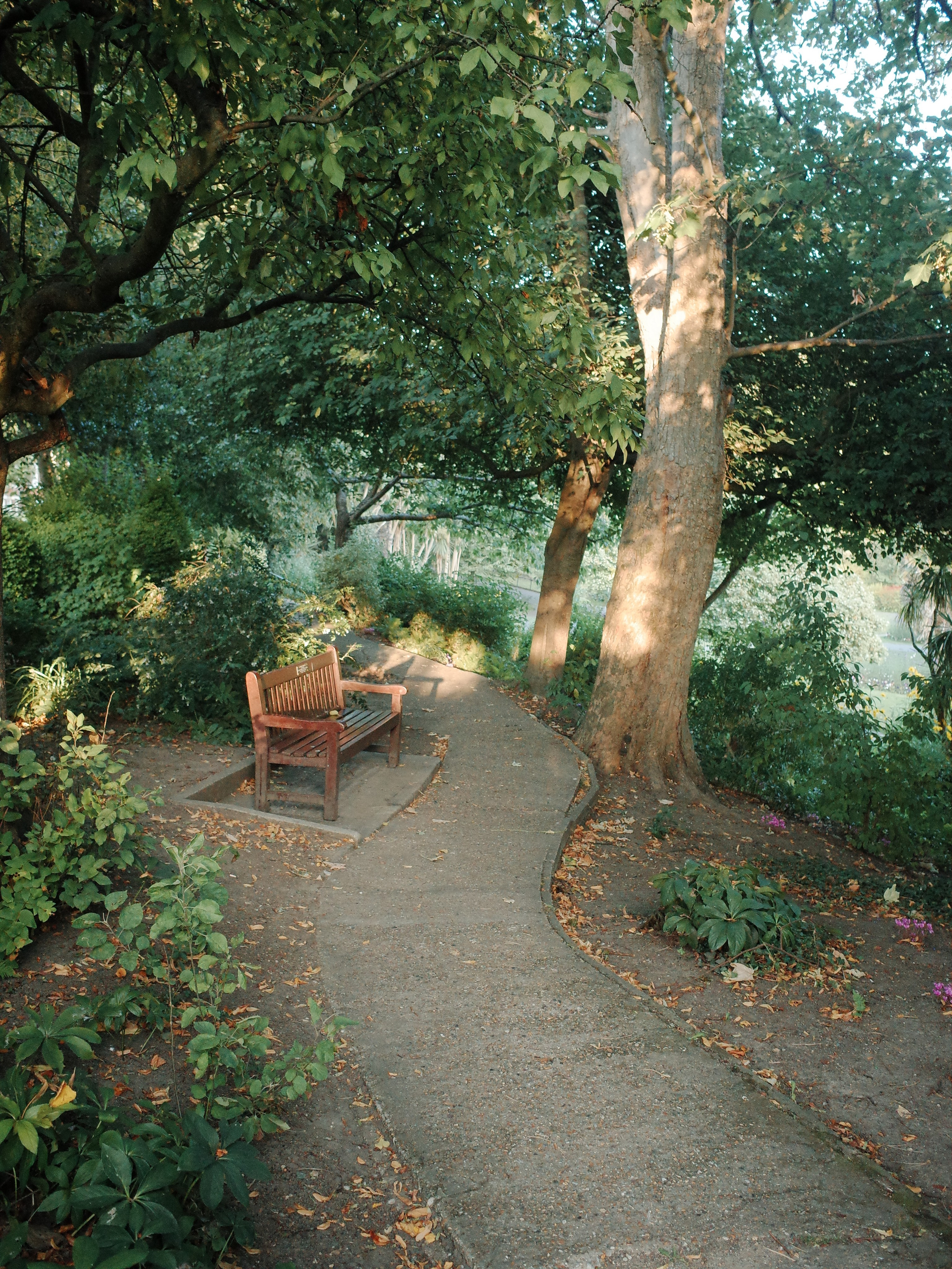 Garden of Forking Paths. Виктория Дини. Арт-фотография
