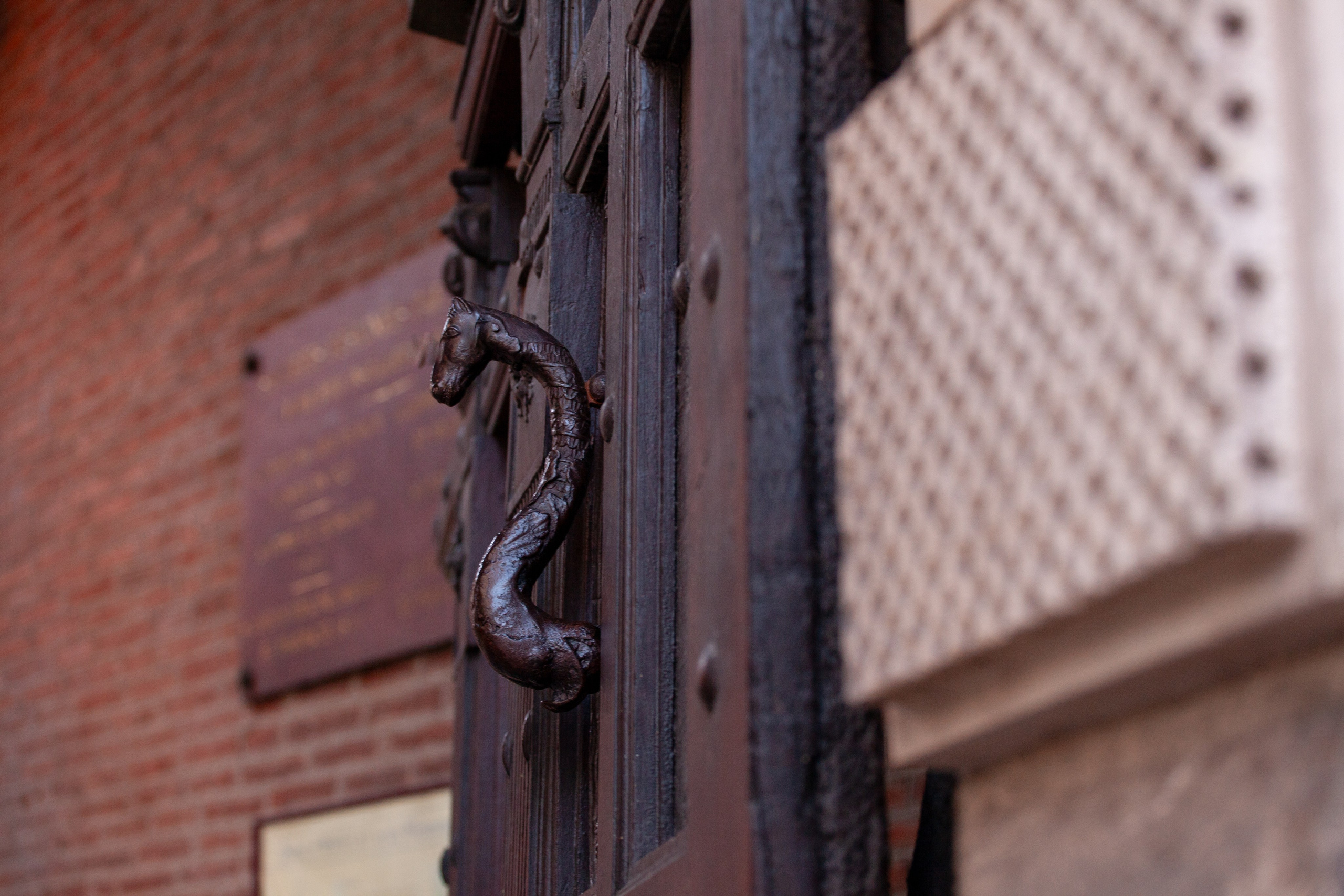 Toulouse. Eugénie Smirnova — Photographe à Toulouse et dans le Sud-Ouest