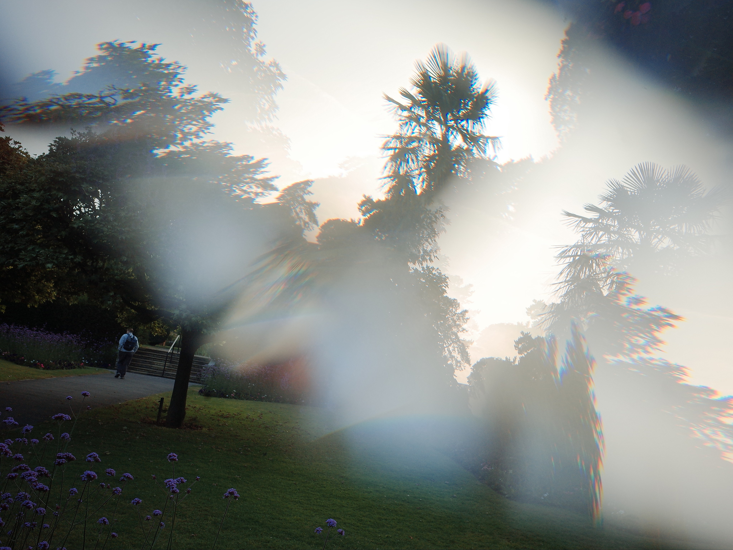 Garden of Forking Paths. Виктория Дини. Арт-фотография