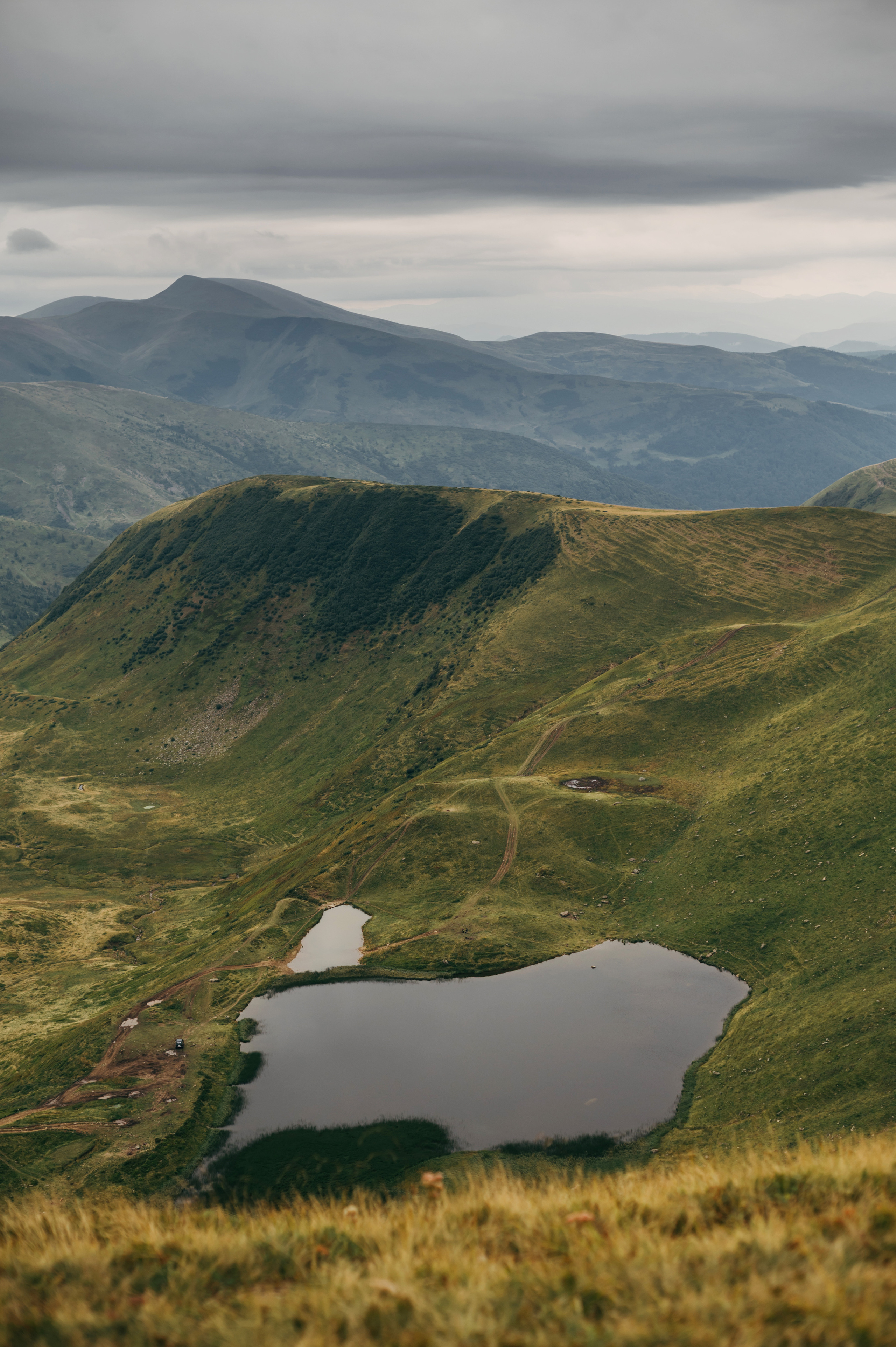 Hochzeit in den Ukrainischen Karpaten - Dragobrat