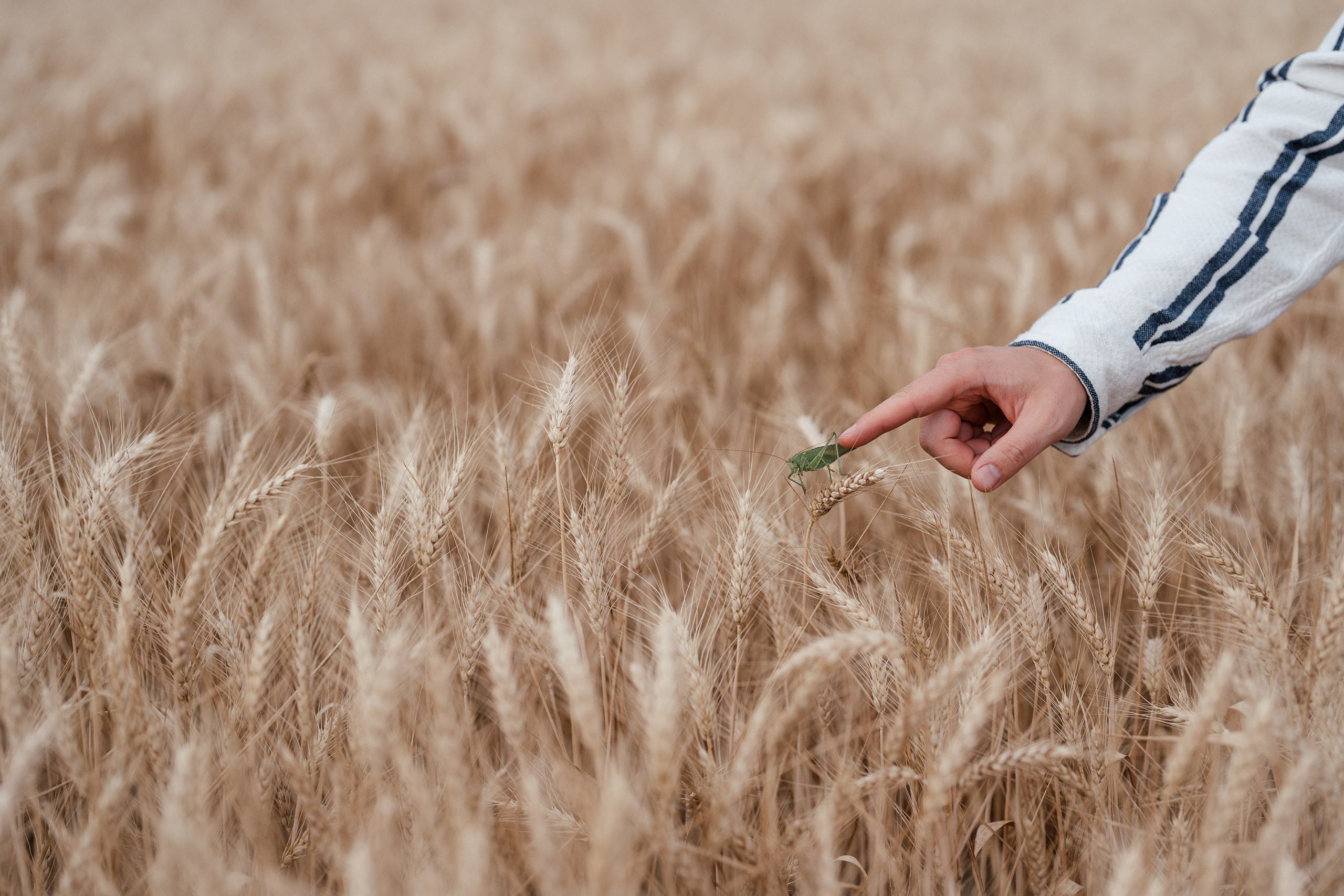 LOVE. Семейный, детский и женский фотограф в Германии, Трире