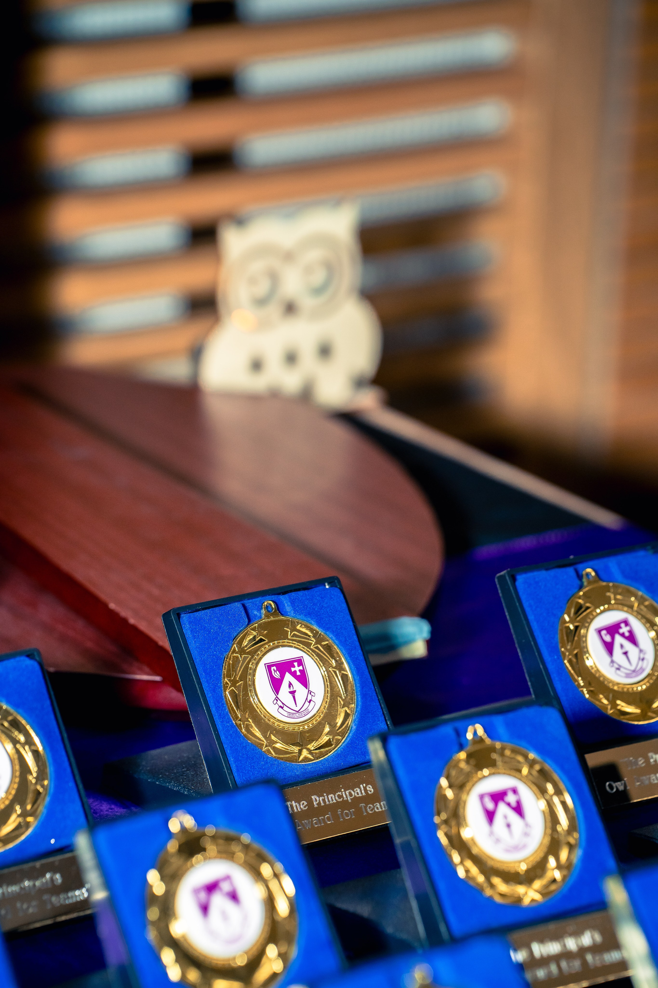 The Owl Society. Expect Miracles Photography by Kate & Andrew