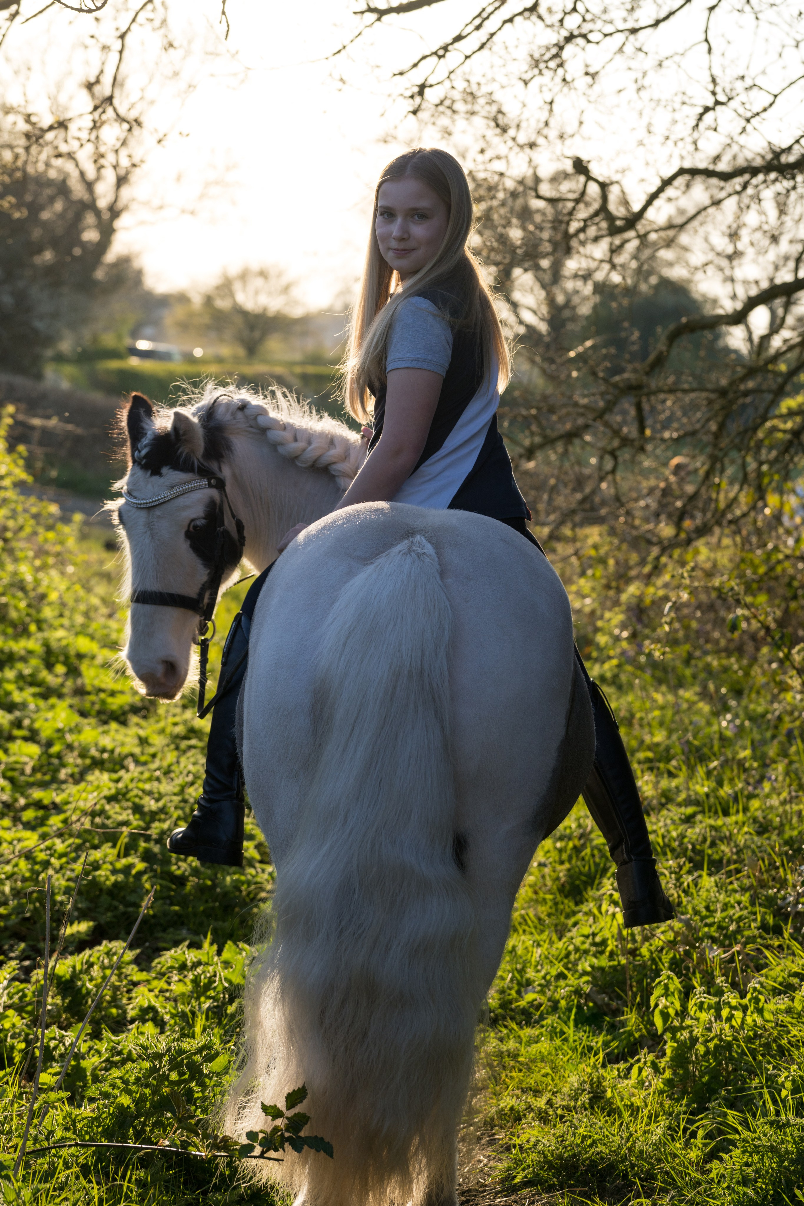 Beautiful horse posing naturally during rural photoshoot in Leicestershire