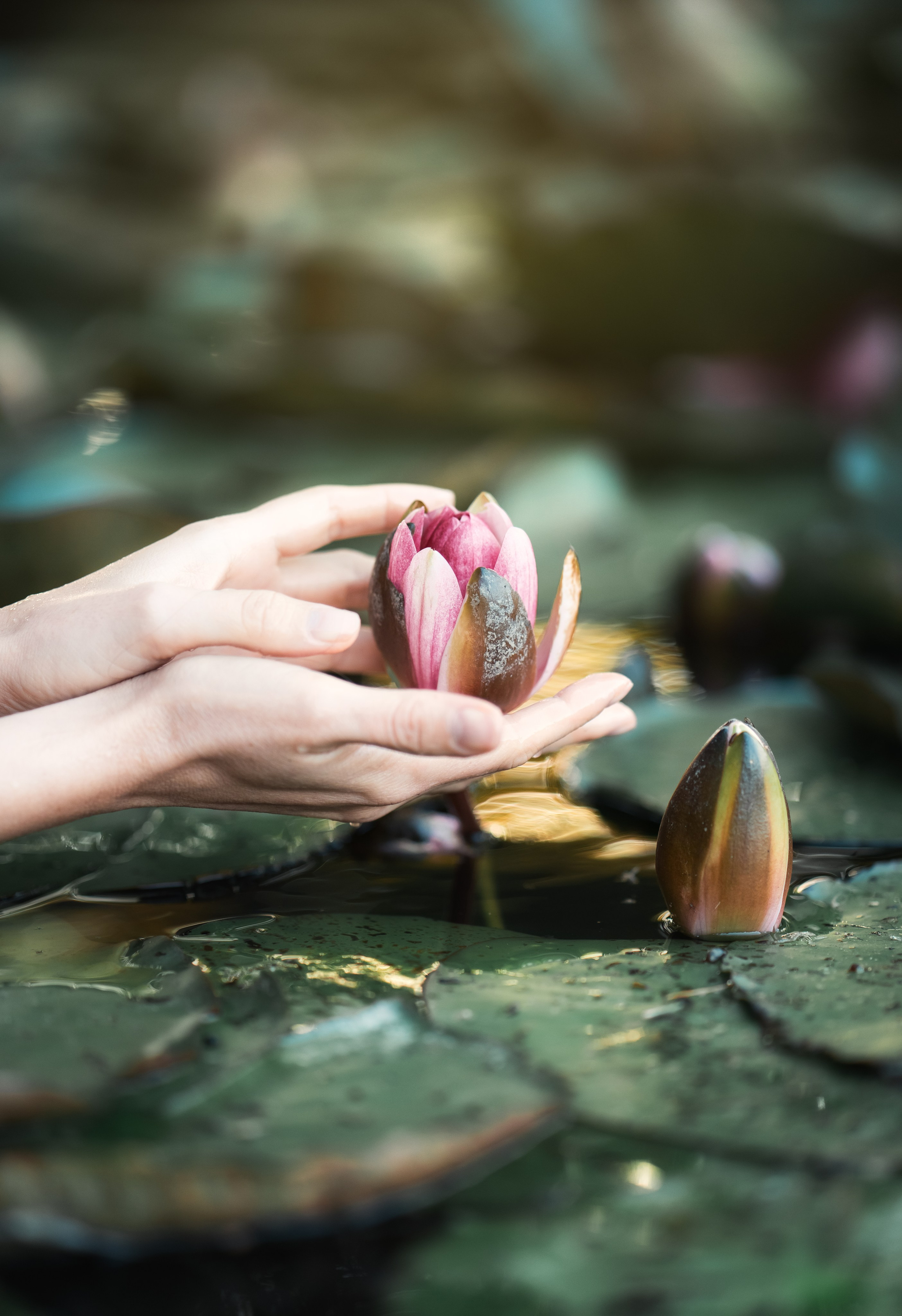 Офелия. Family, Lifestyle and Portrait photograher in Trier, Germany