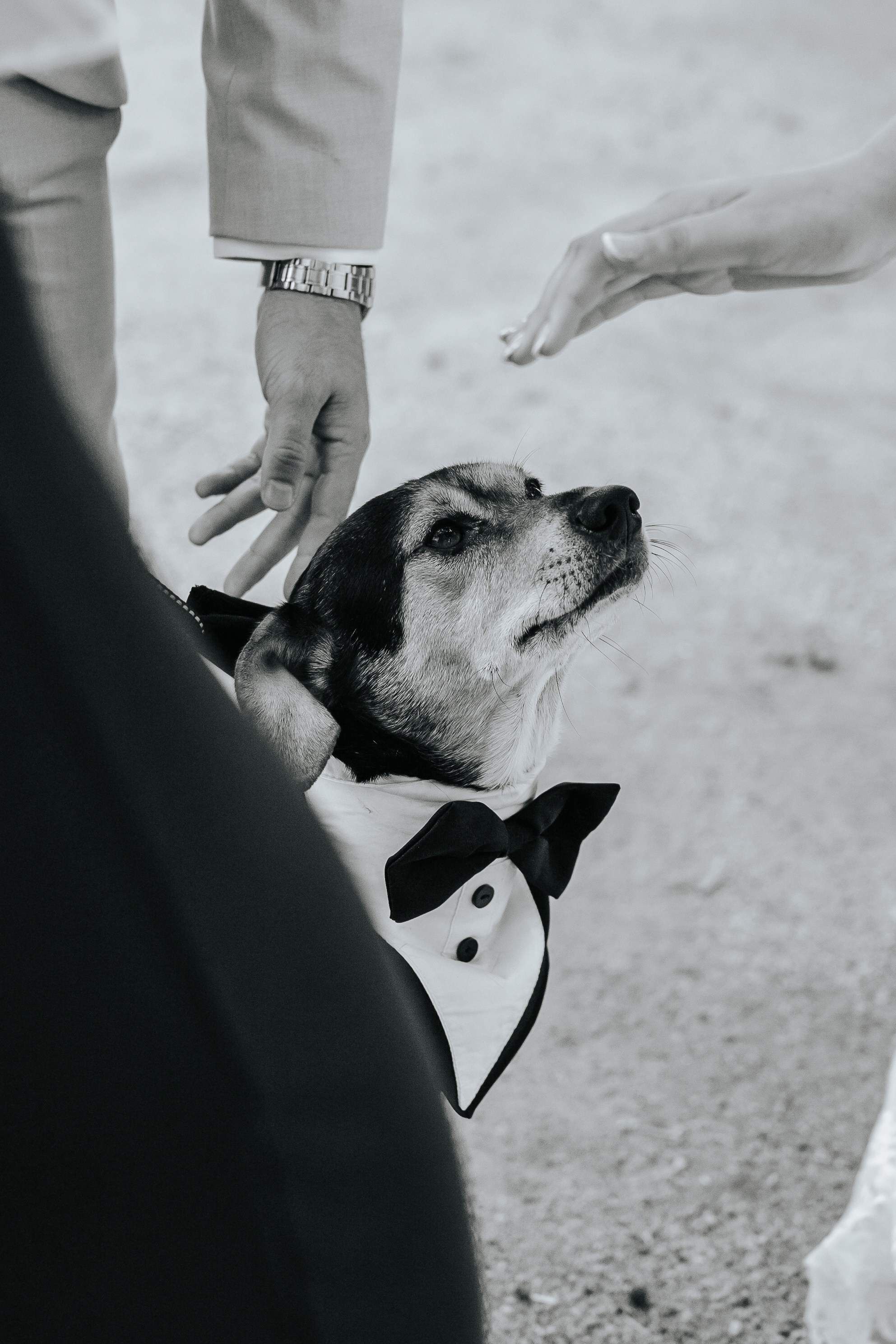 Marta+Adria, 27.09.2025, Can Caballe. Fotógrafa de bodas en Cataluña