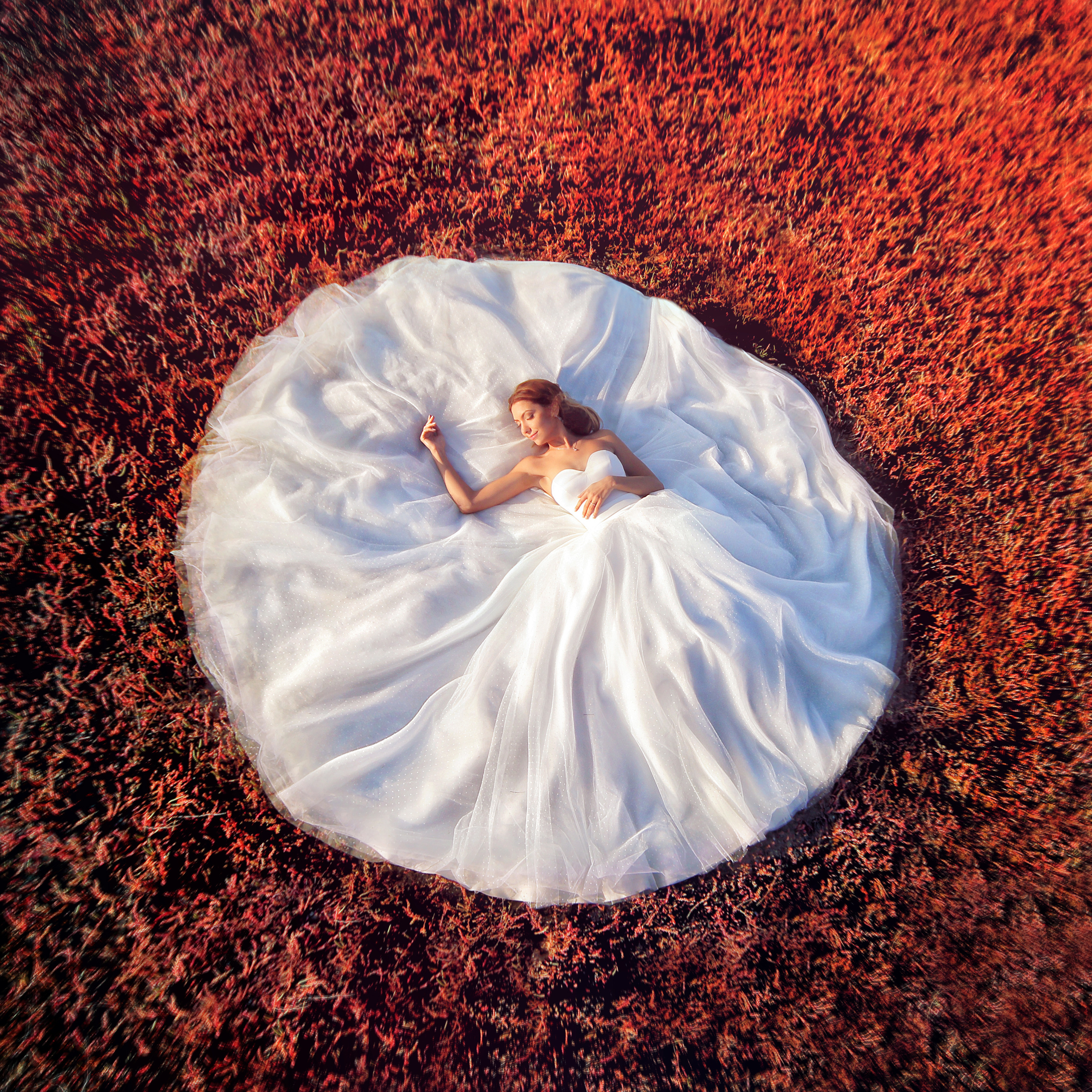 Selección de boda. Fotógrafo de bodas. Fotografía de retrato. Fotógrafo Alicante, Madrid