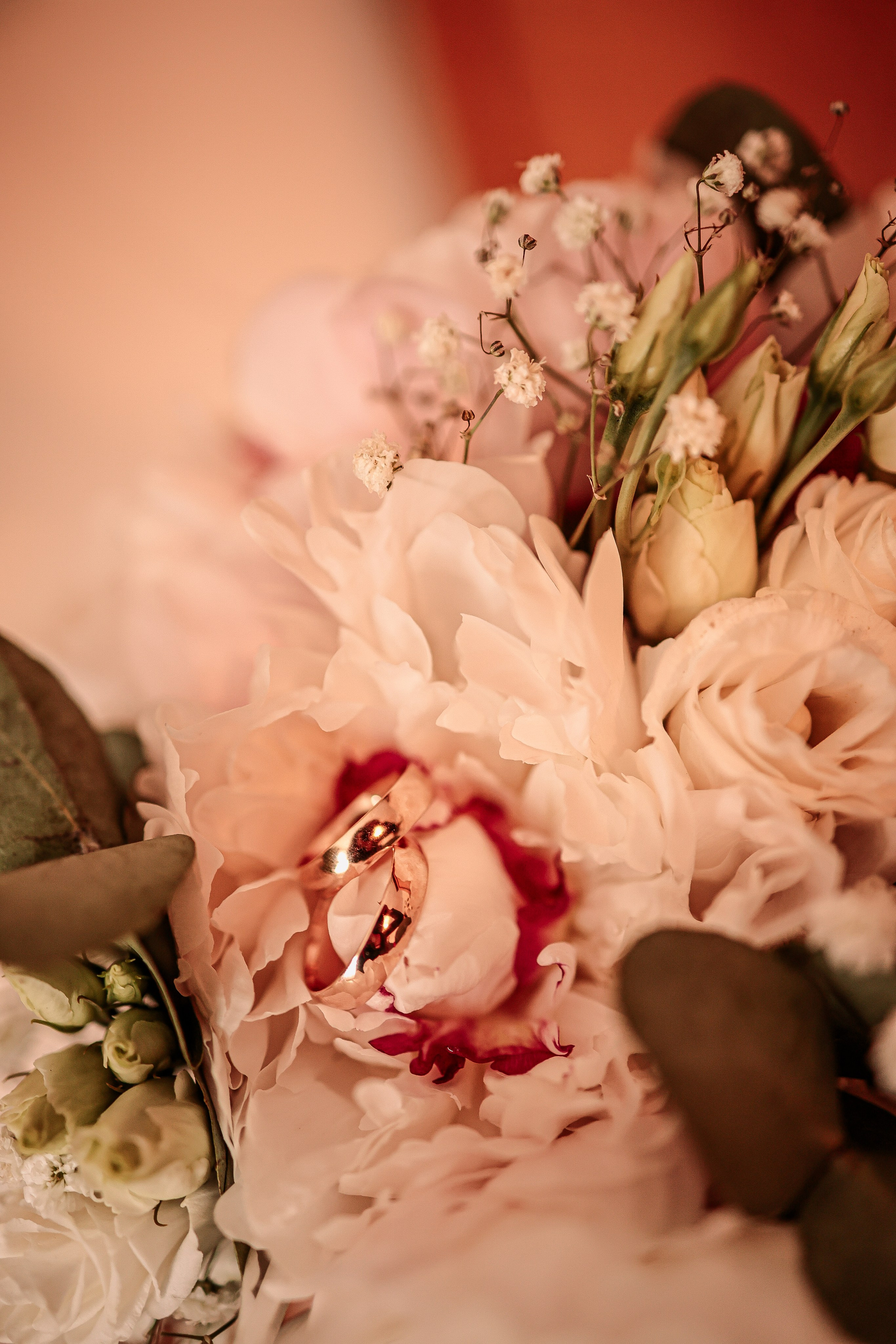 R&K. Photographer Co Dublin, Balbriggan — Agata Maliseva