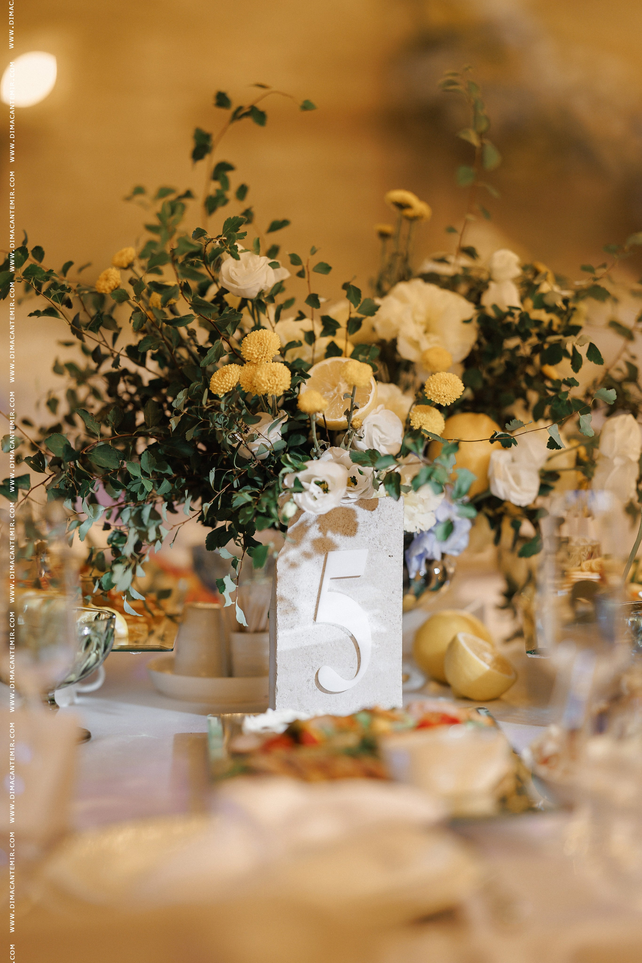 GHEORGHE + ADRIANA | LAGO. Fotograf de nuntă în Chisinau, Moldova. Poze și Video Comerciale