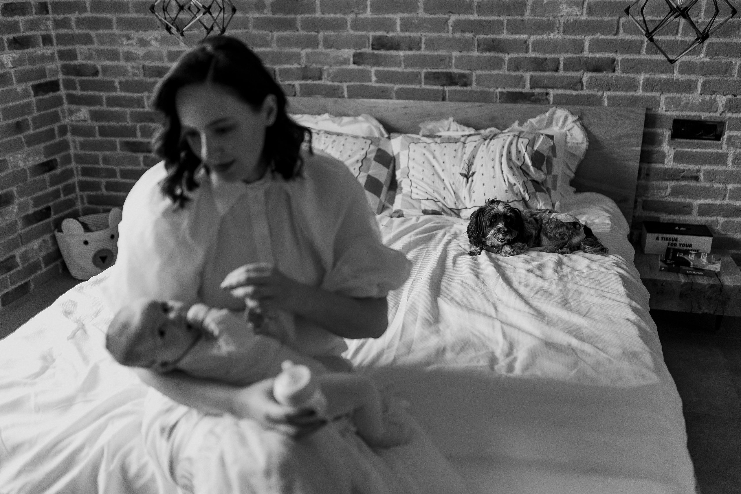 Baptism Zoe. Ionutdraganfoto.com