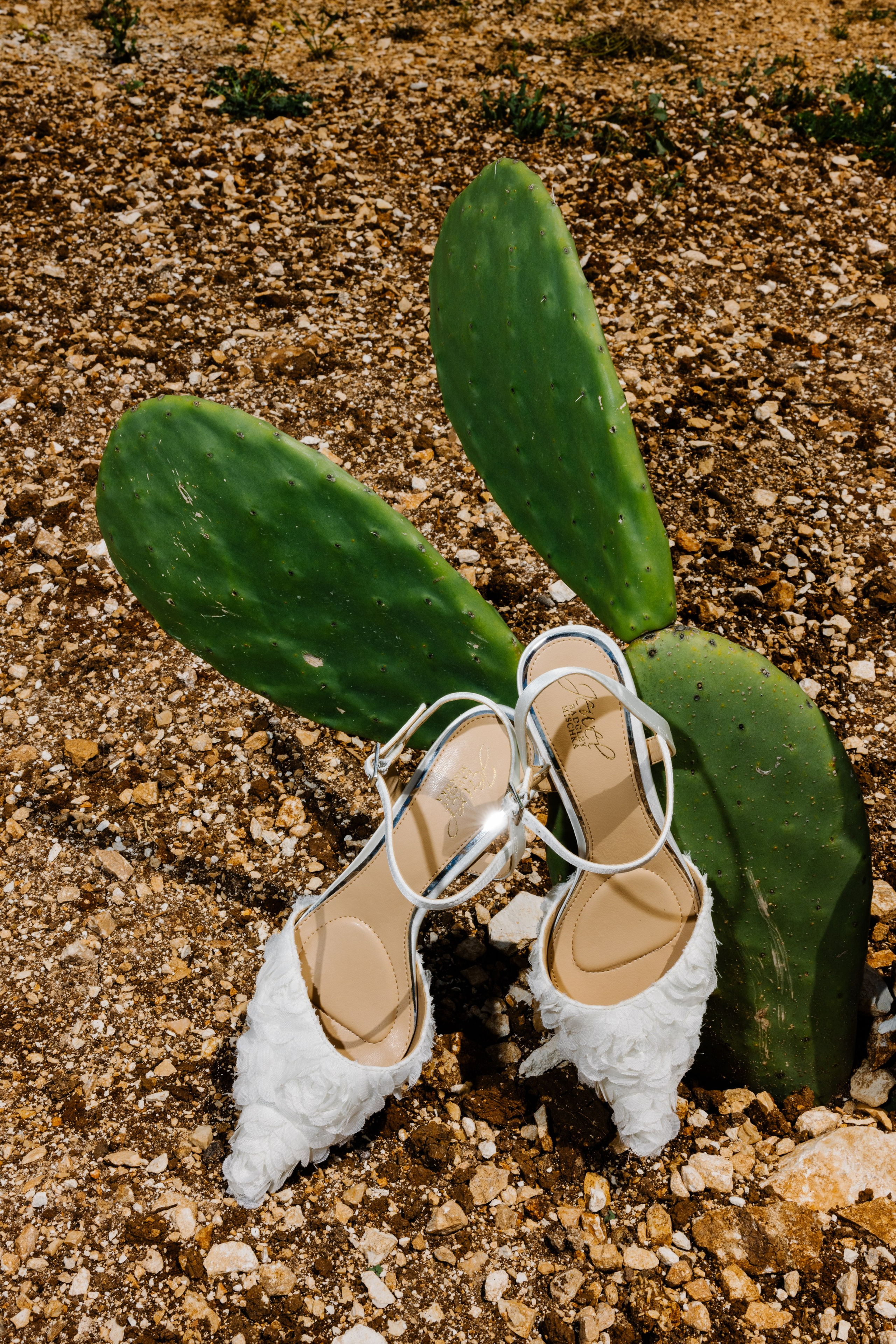 2. Весільний фотограф Вікторія Саврук